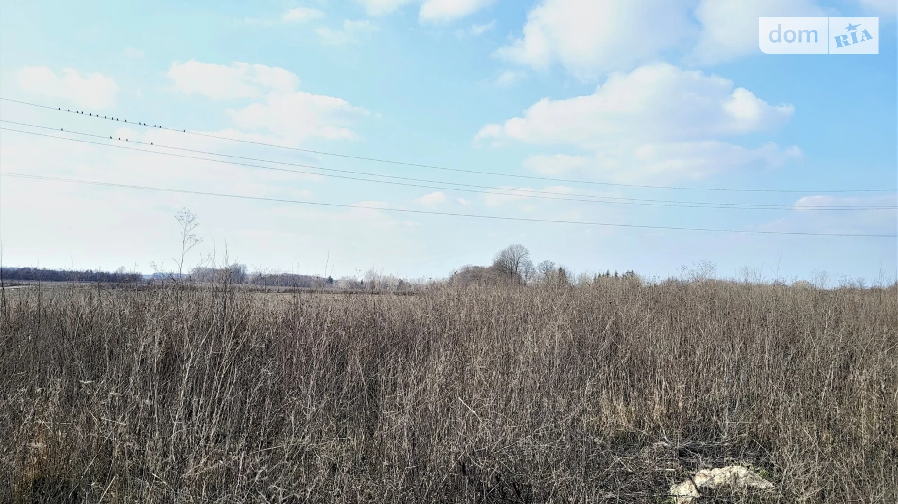 Тиврівське шосе Лука-Мелешківська, цена: 96000 $ - фото 2