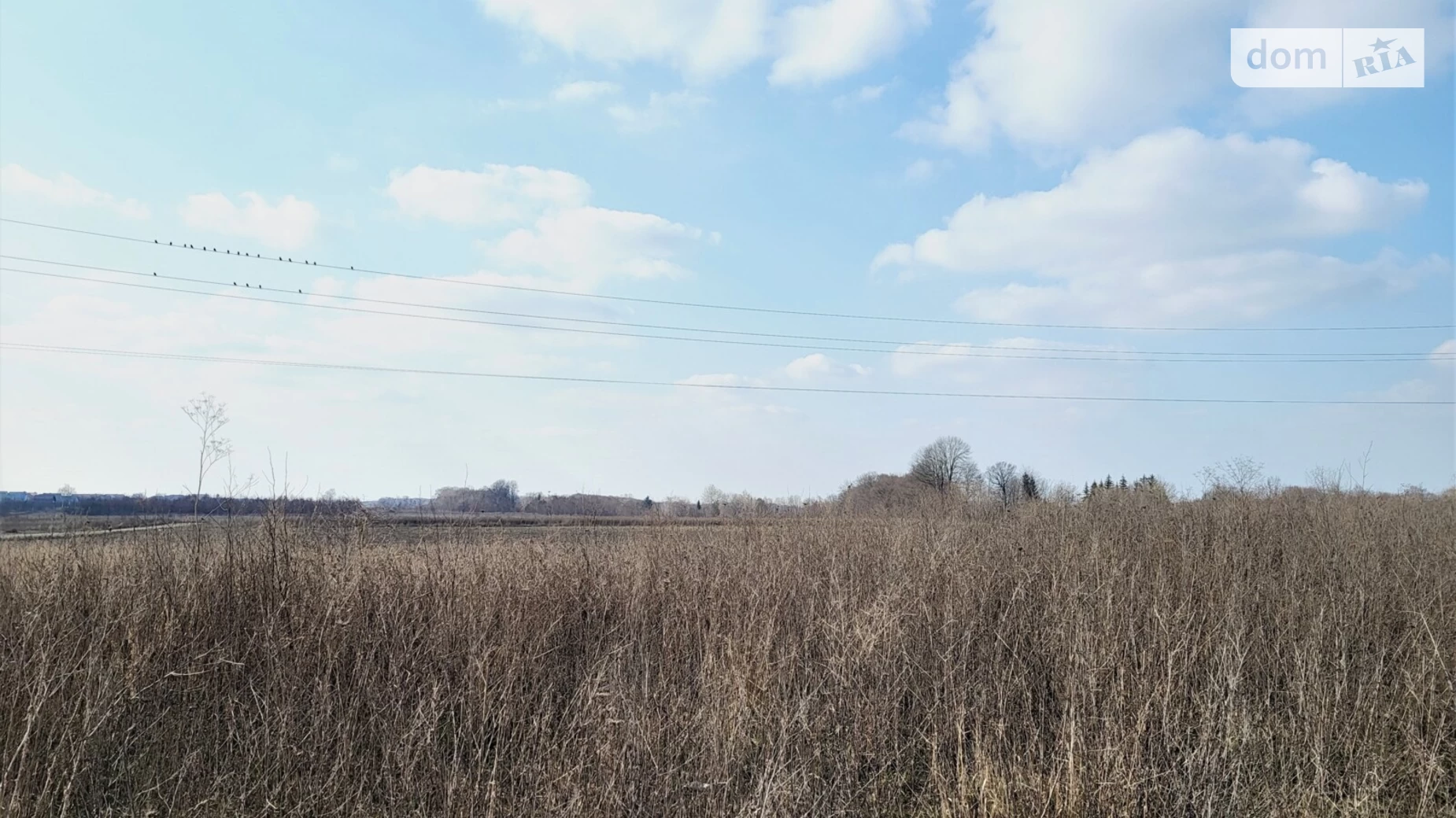 Тиврівське шосе Лука-Мелешківська, цена: 96000 $ - фото 3