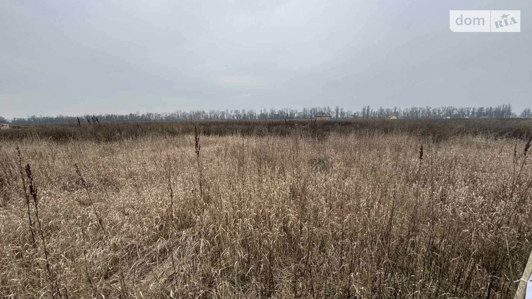 Продается земельный участок 8 соток в Винницкой области, цена: 17000 $ - фото 5