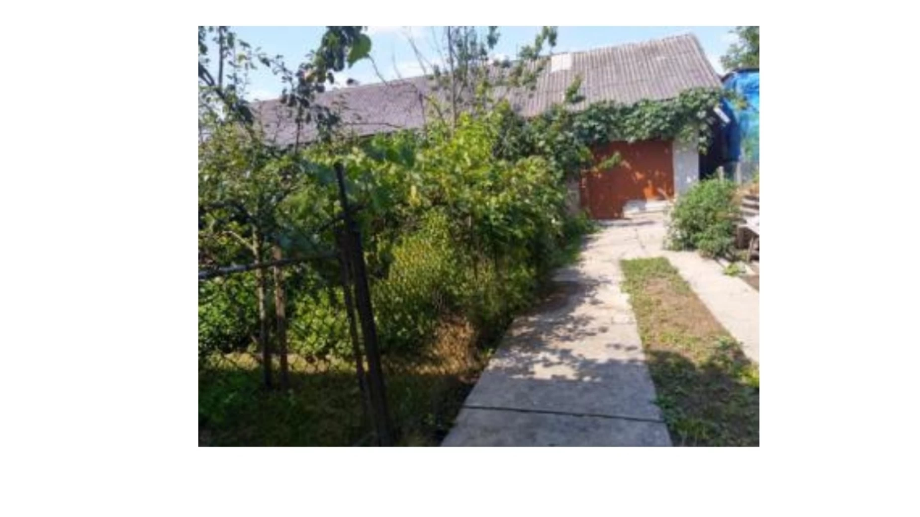 Продается одноэтажный дом 175 кв. м с гаражом, цена: 24000 $ - фото 3