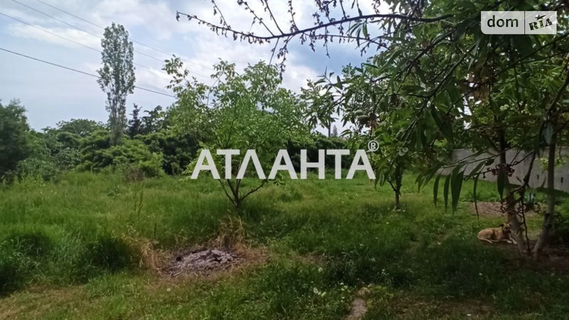 Продается земельный участок 9.86 соток в Одесской области, цена: 55000 $ - фото 5