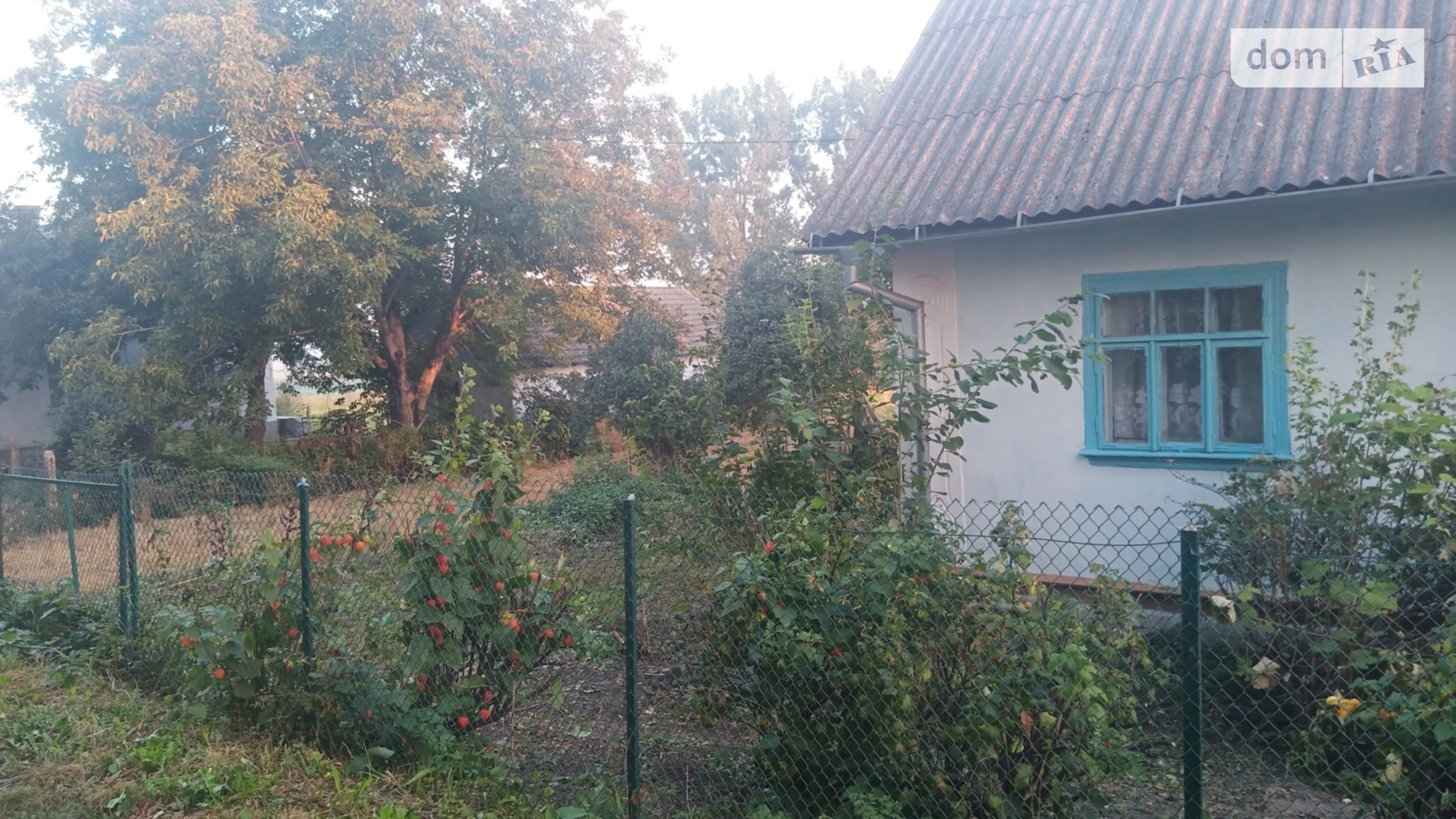 Продается одноэтажный дом 58.3 кв. м с верандой, цена: 14000 $ - фото 5
