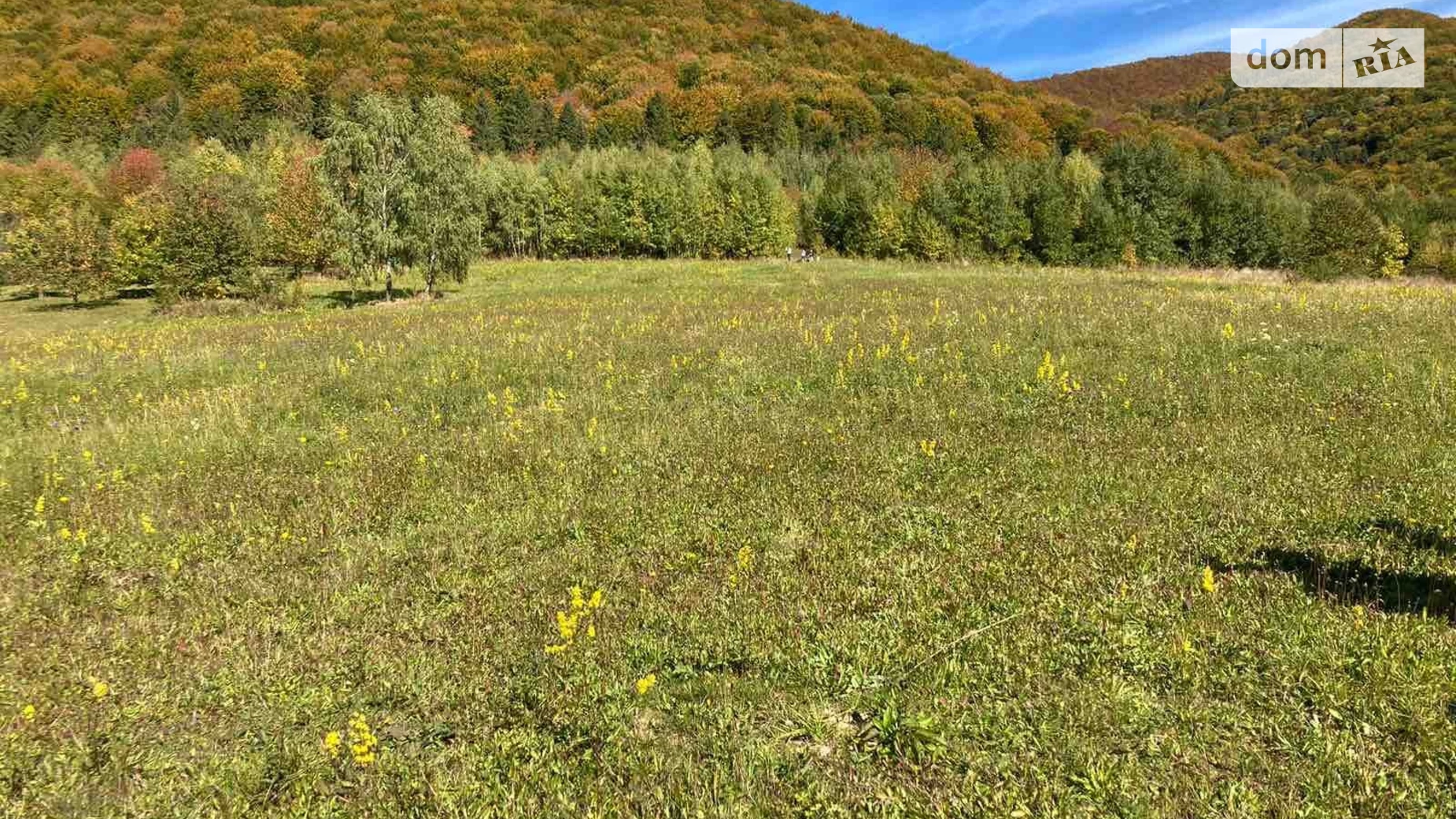 Урочище горб Вишка, цена: 48200 $ - фото 3