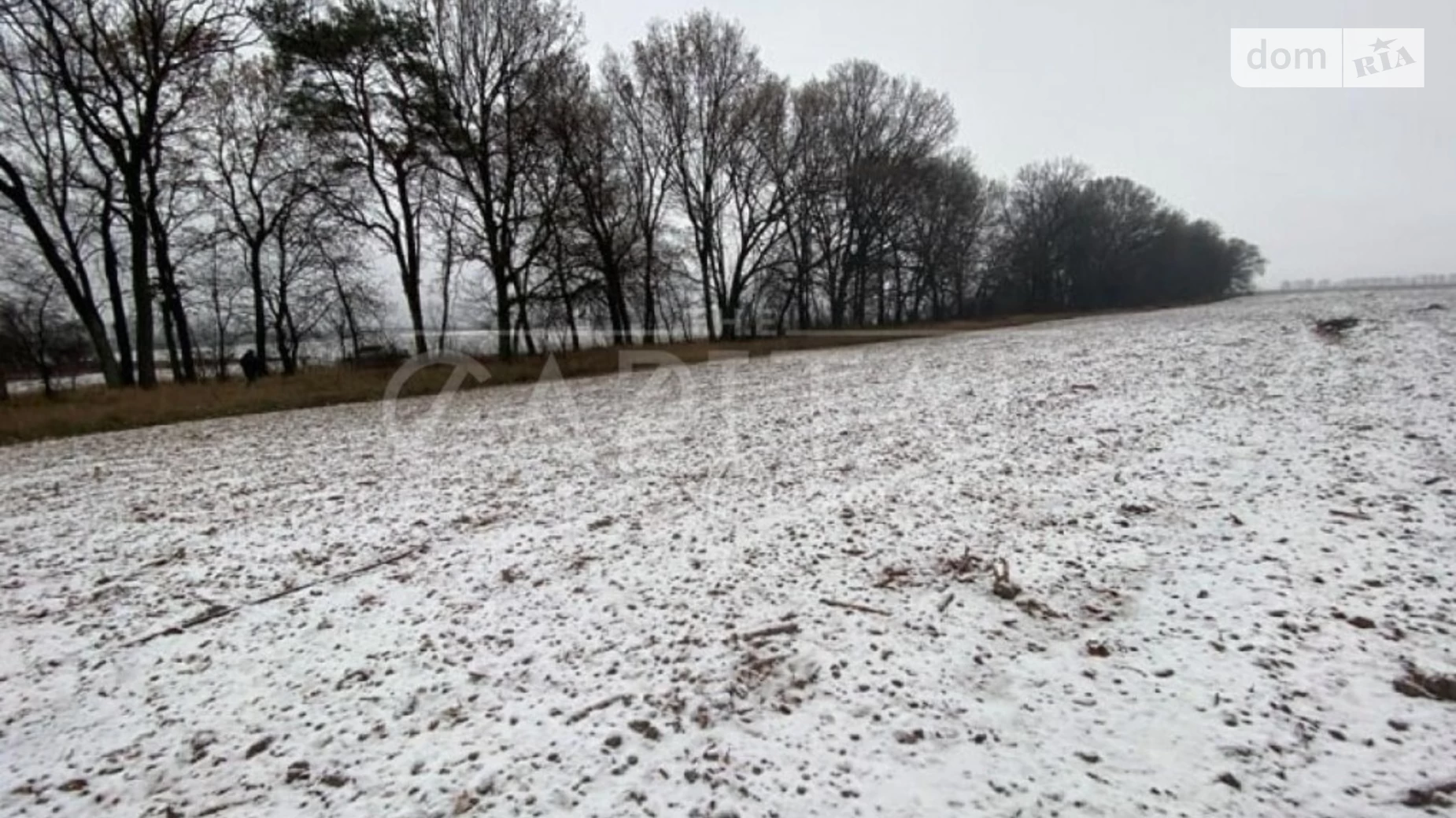 Продается земельный участок 120 соток в Киевской области, цена: 120700 $ - фото 3