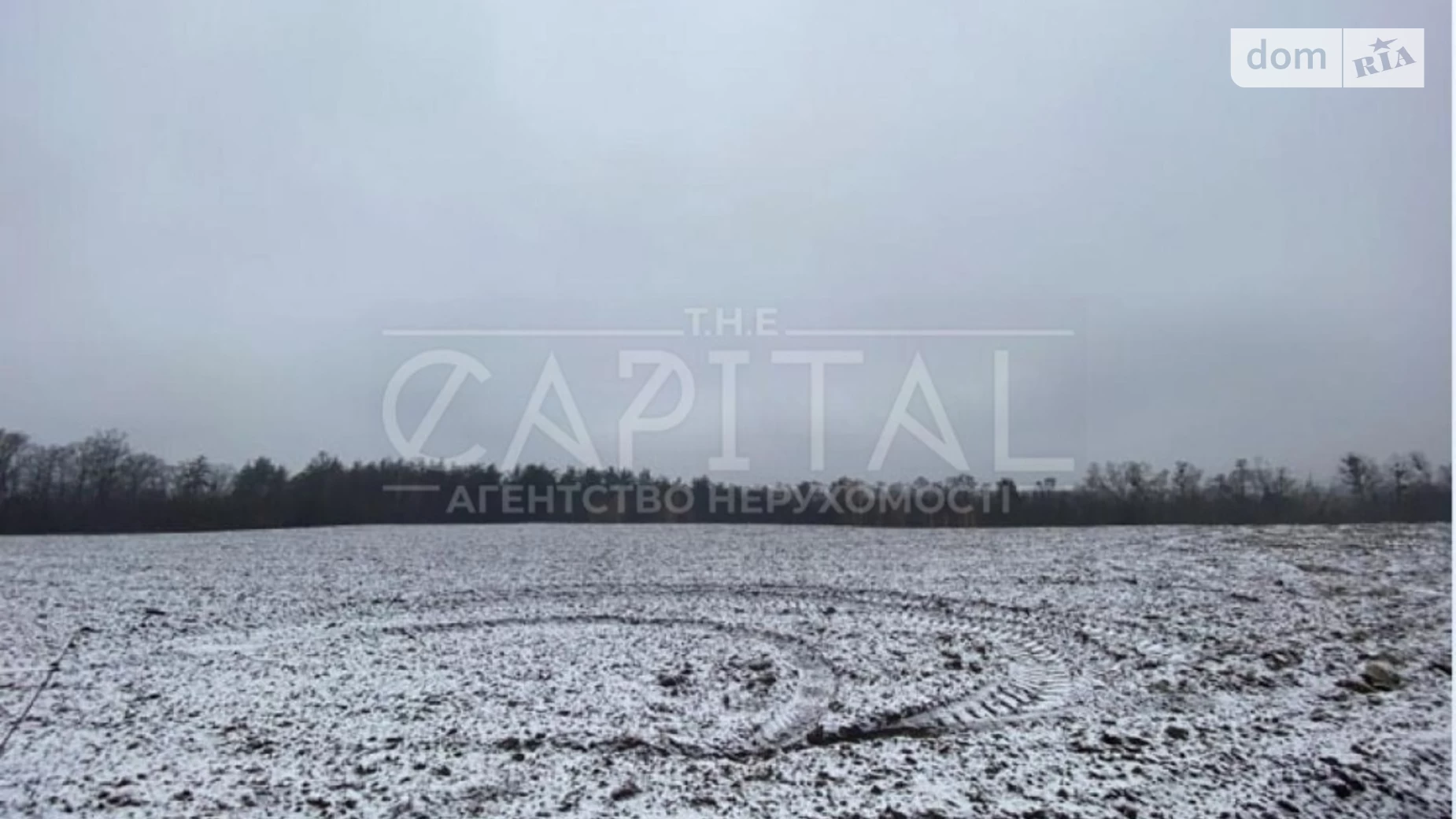 Белогородка Белогородка, цена: 429230 $ - фото 4
