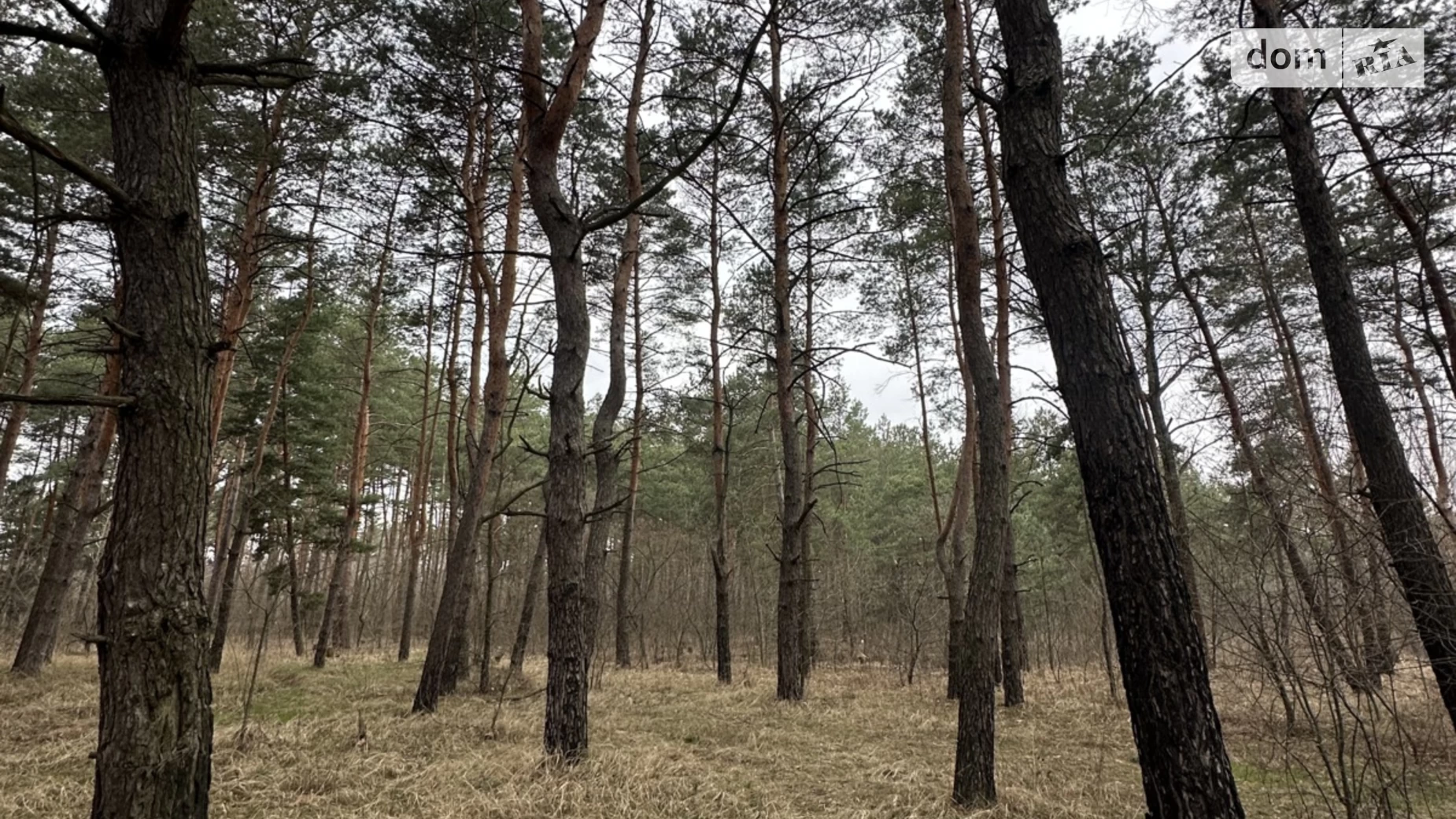 Продається земельна ділянка 10 соток у Дніпропетровській області, цена: 22000 $ - фото 2