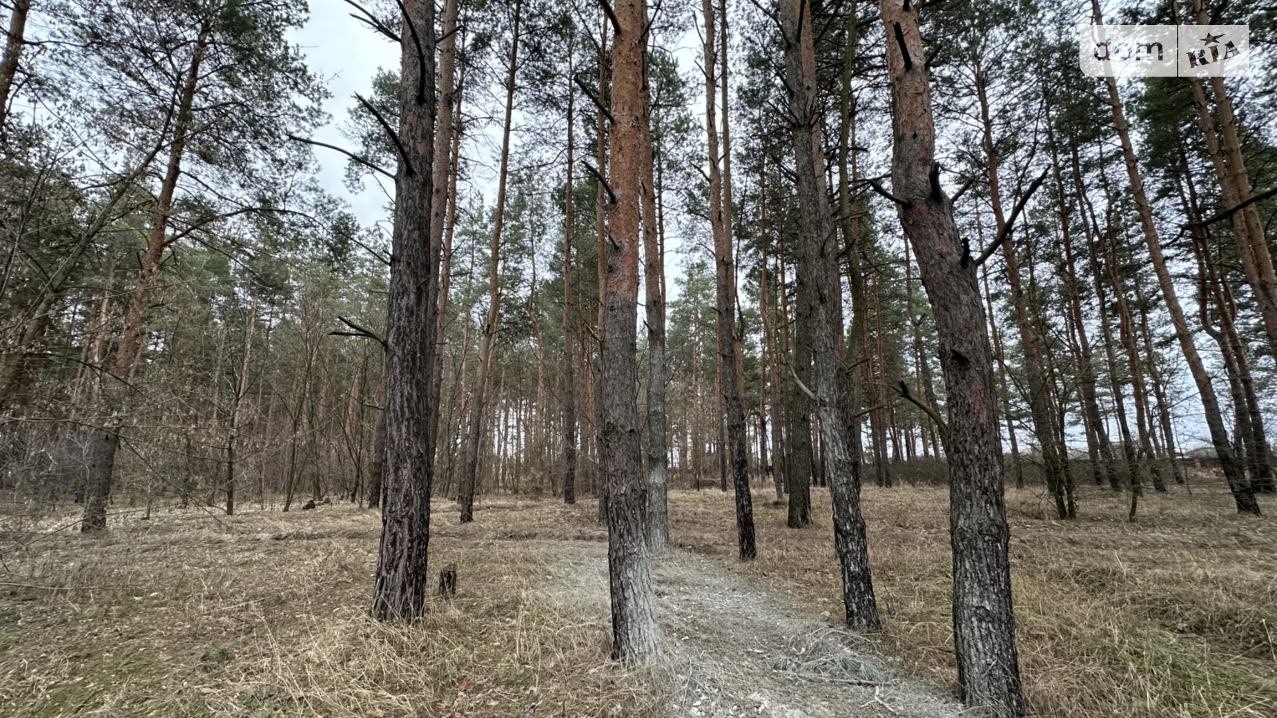 Продається земельна ділянка 10 соток у Дніпропетровській області, цена: 22000 $ - фото 3