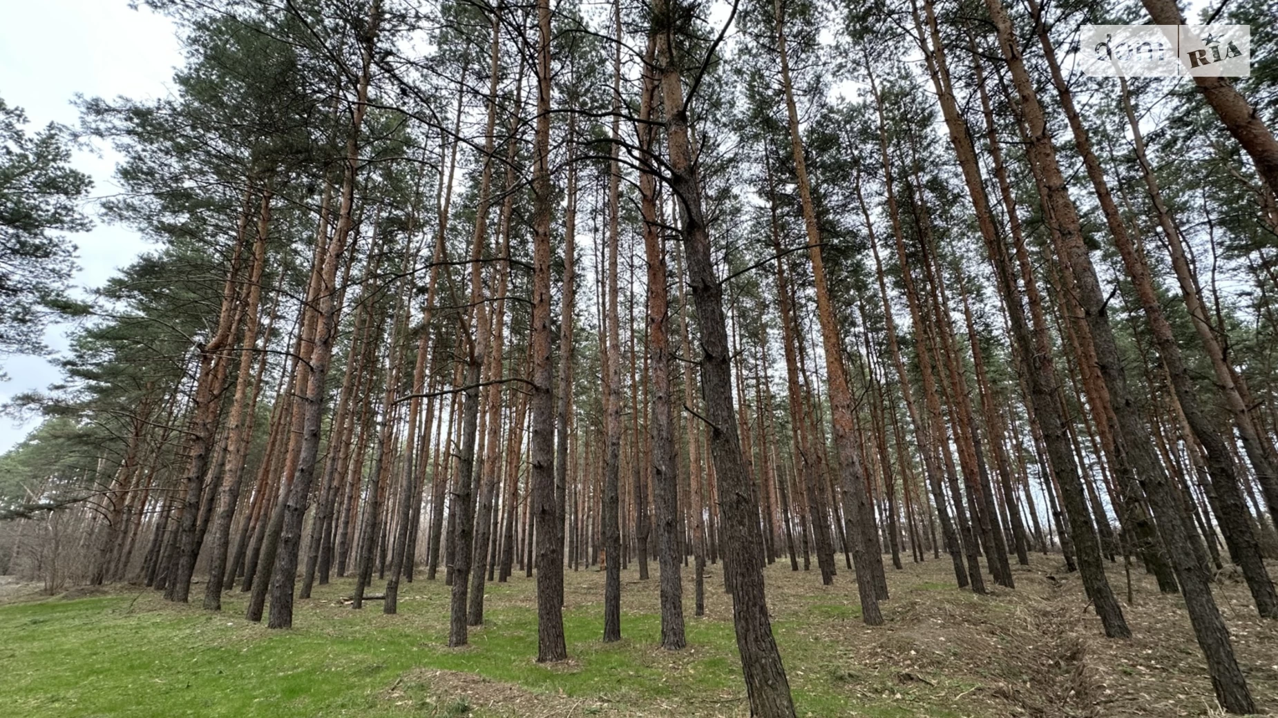 Продається земельна ділянка 10 соток у Дніпропетровській області, цена: 22000 $ - фото 4