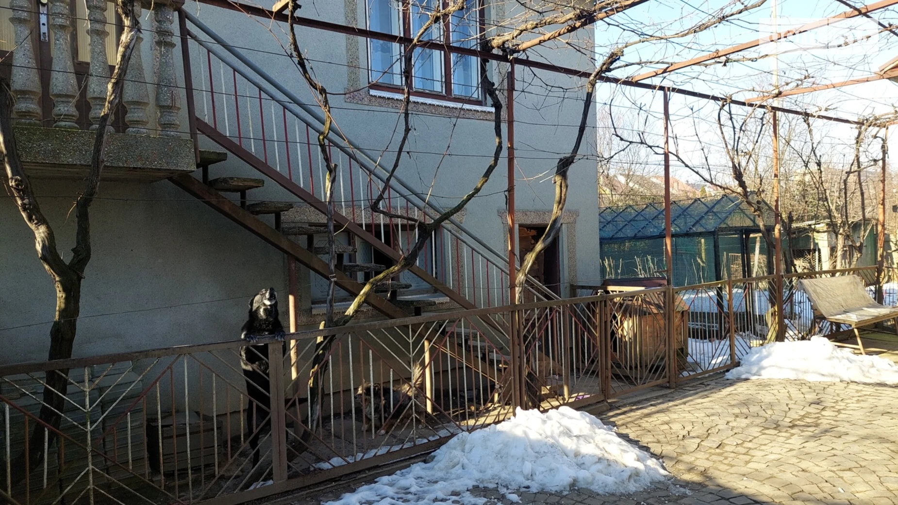 Продается одноэтажный дом 100 кв. м с садом, цена: 99000 $ - фото 2