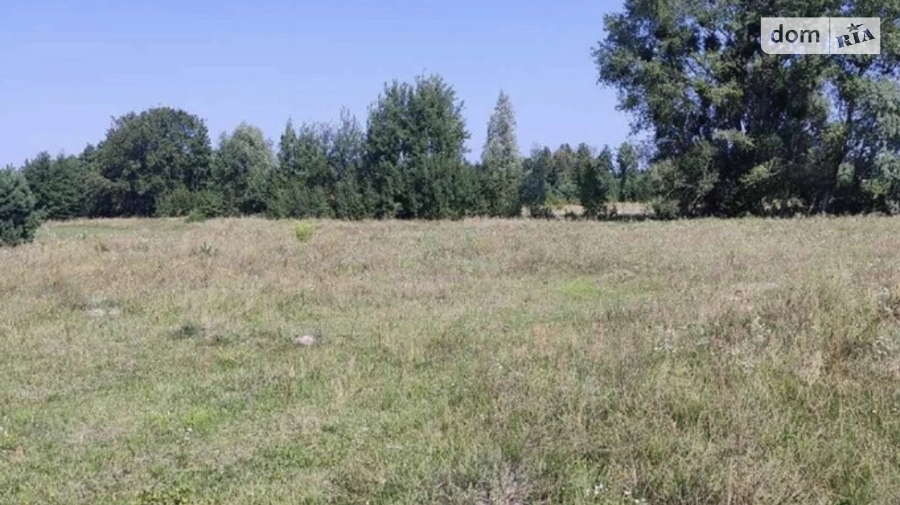 Продается одноэтажный дом 49.4 кв. м с верандой, цена: 30000 $ - фото 2