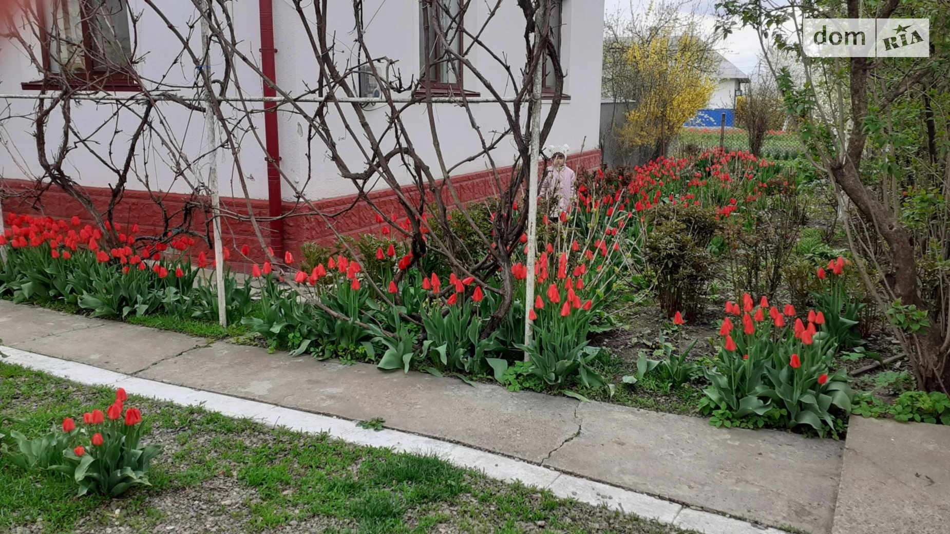 Продається одноповерховий будинок 90 кв. м з бесідкою, вул. Буковинська, 4