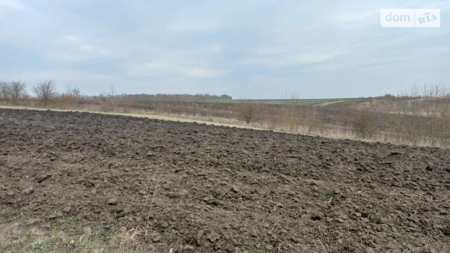 Тернопільська Великий Ходачков, цена: 18300 $ - фото 3