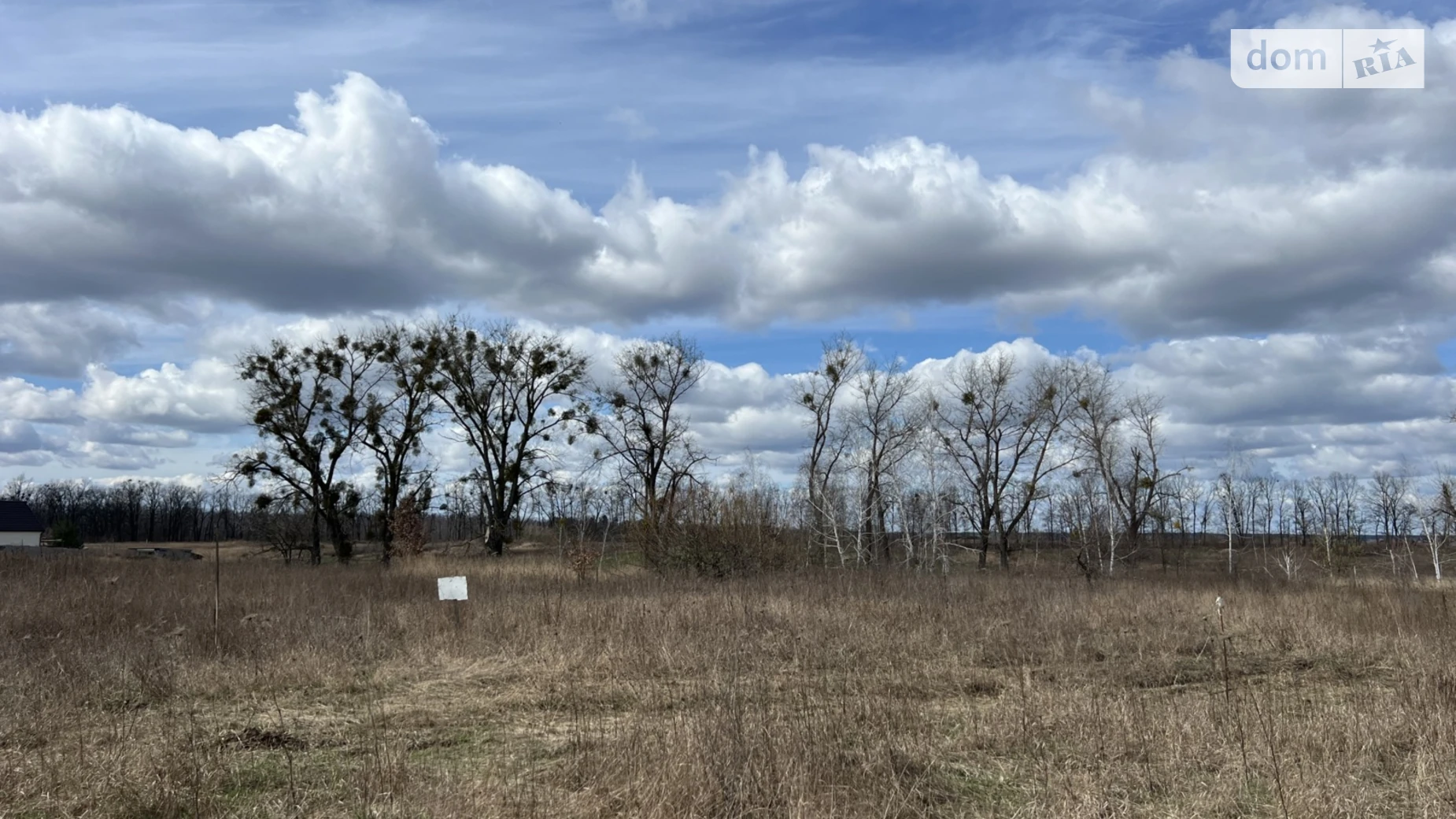 Продается земельный участок 25 соток в Киевской области, цена: 20000 $ - фото 2