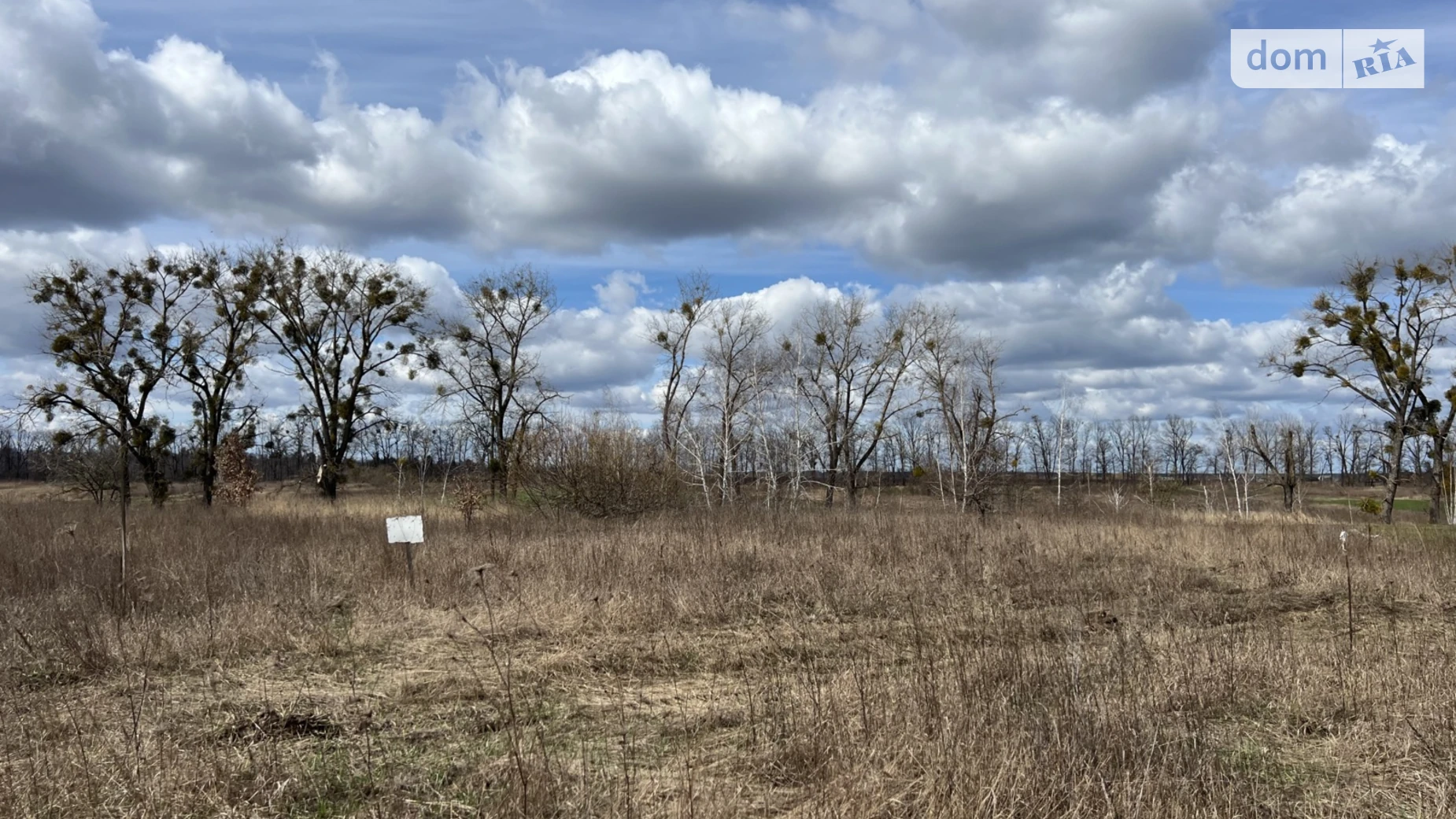 Продается земельный участок 25 соток в Киевской области, цена: 20000 $ - фото 5