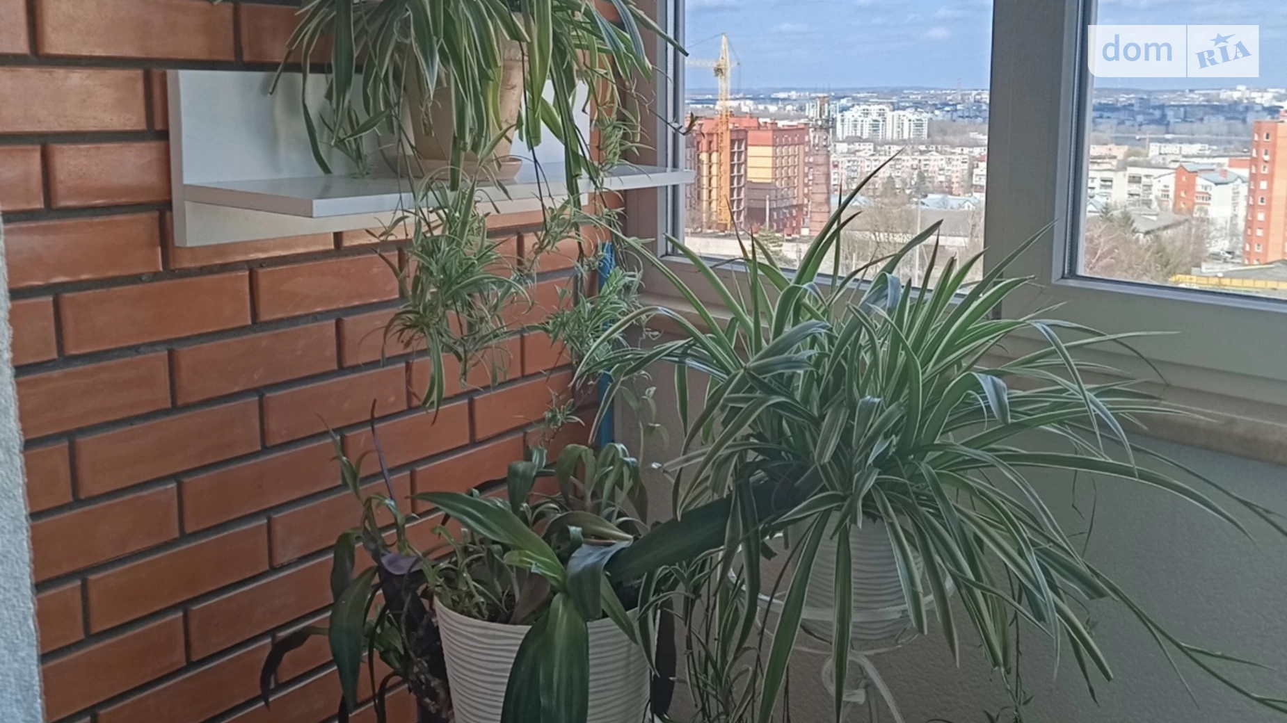 2-кімнатна квартира 70.5 кв. м у Тернополі, вул. Тролейбусна - фото 4
