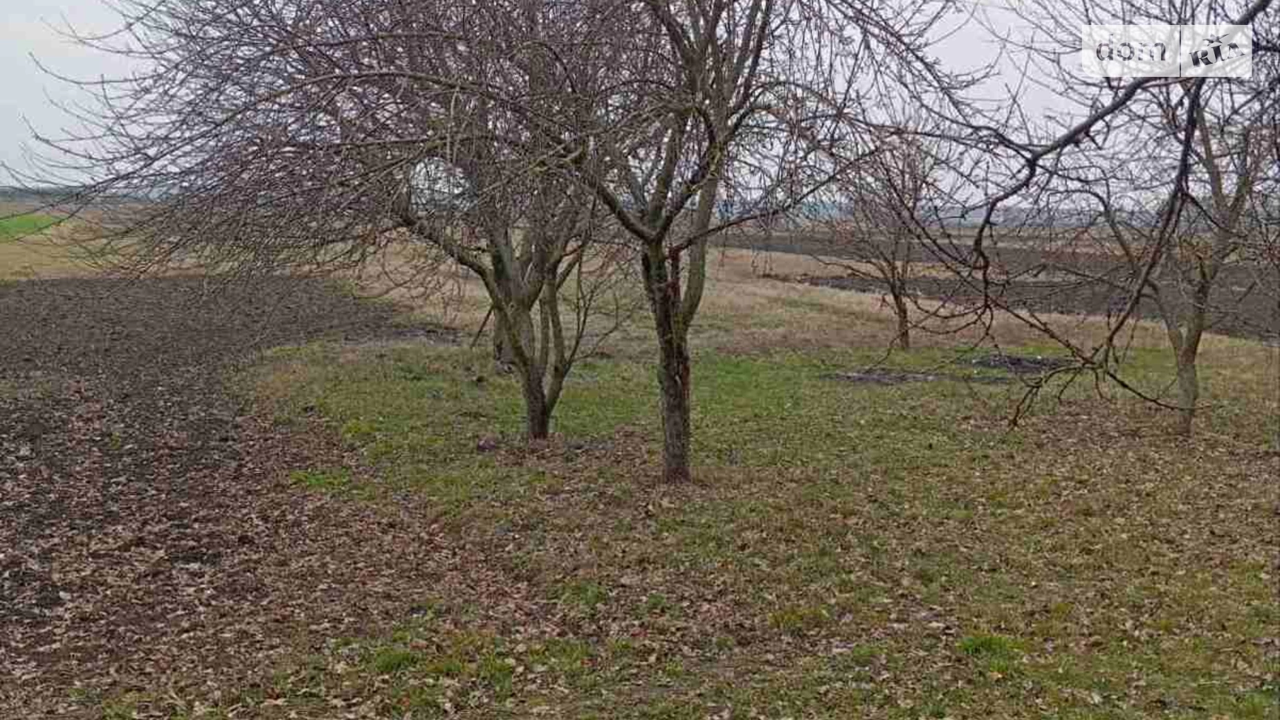 Продается дом на 2 этажа 120.8 кв. м с участком, цена: 35000 $ - фото 3