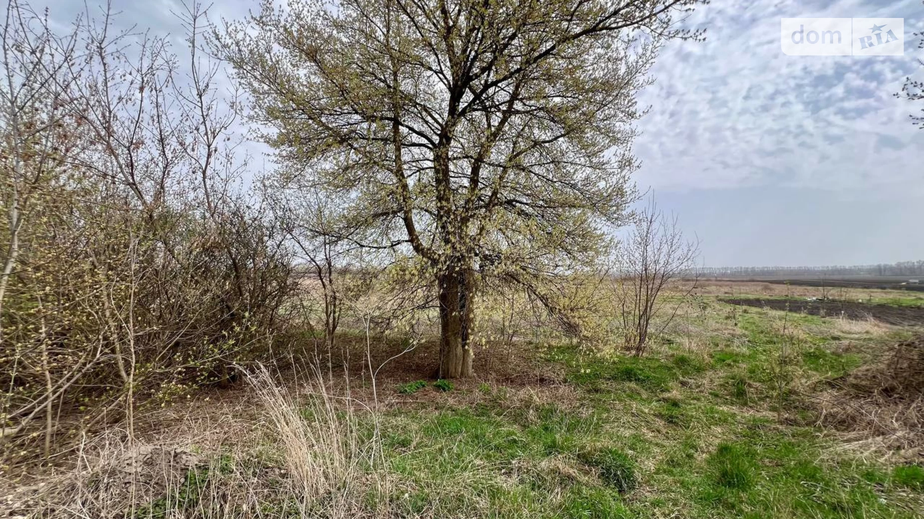 Продається земельна ділянка 10 соток у Вінницькій області, цена: 10248 $ - фото 4