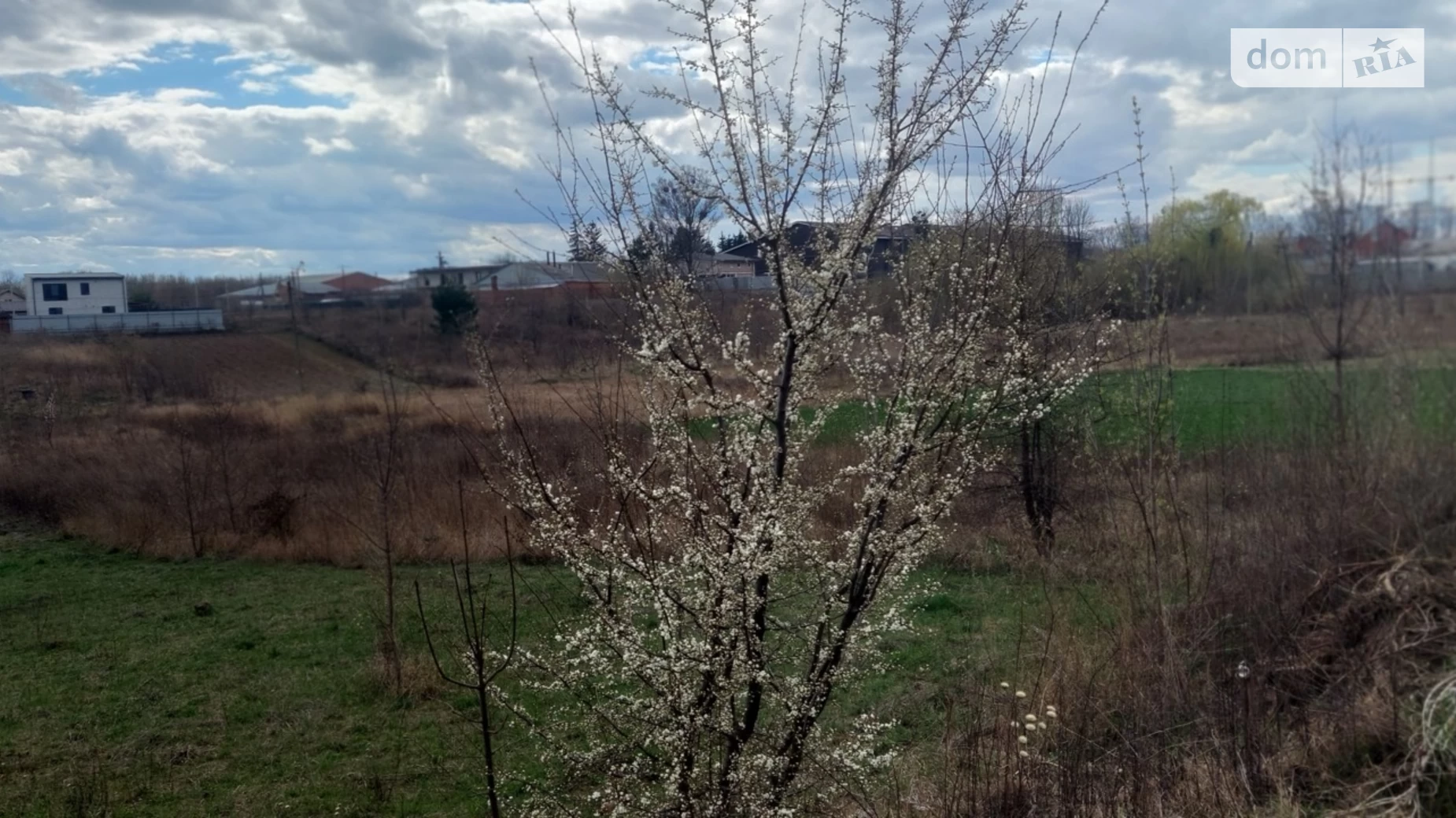 Продається земельна ділянка 15 соток у Вінницькій області, цена: 25000 $ - фото 2