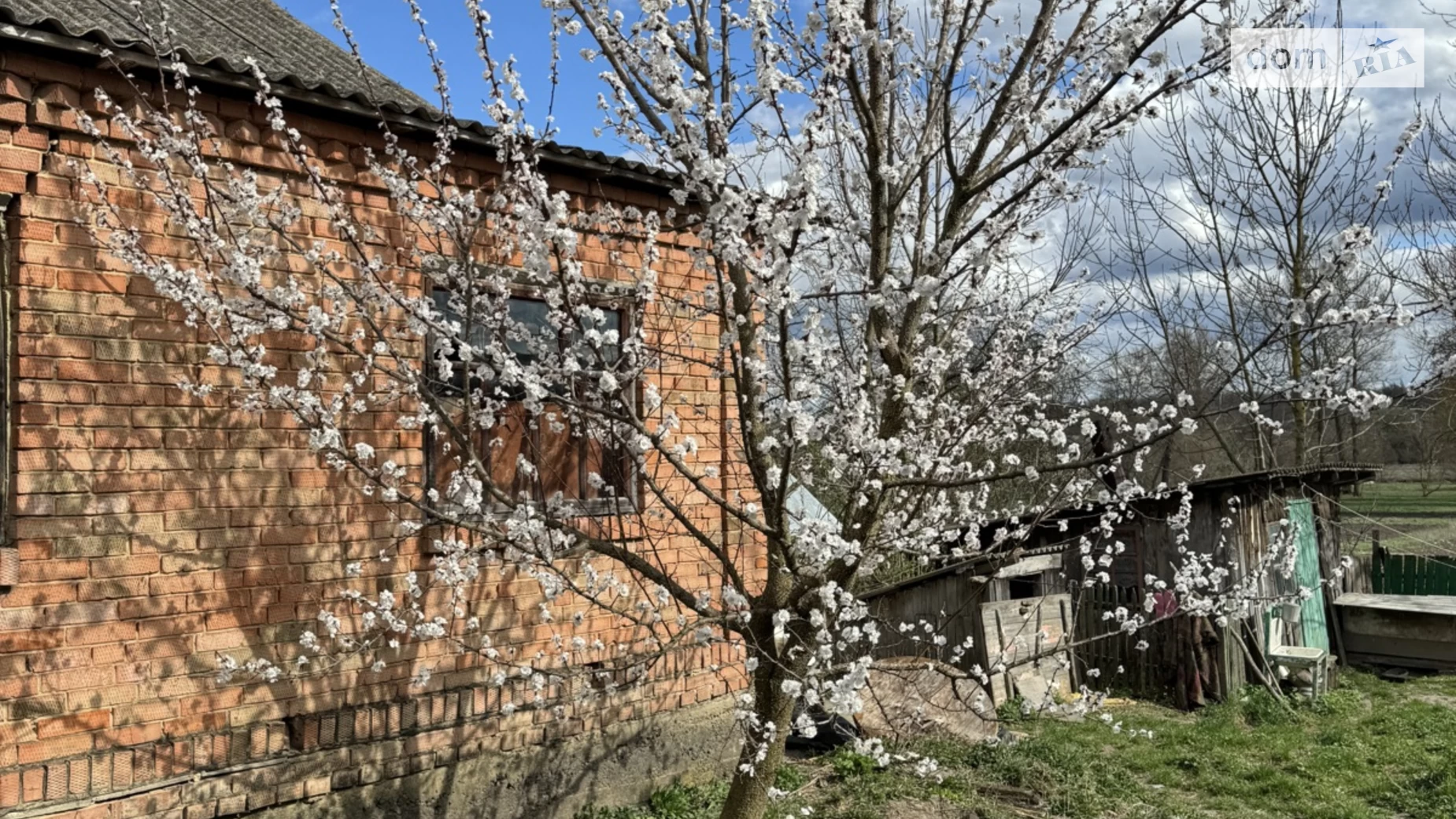 Продається одноповерховий будинок 77 кв. м з банею/сауною, вул. Нова