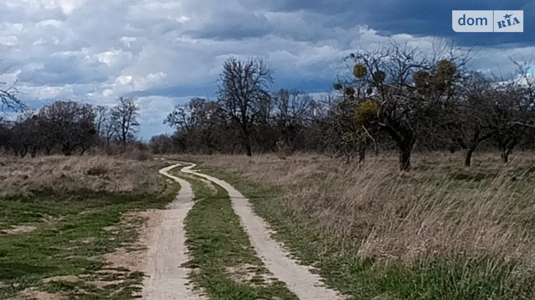 вул. Миру(Леніна) Щітки, цена: 5000 $ - фото 2
