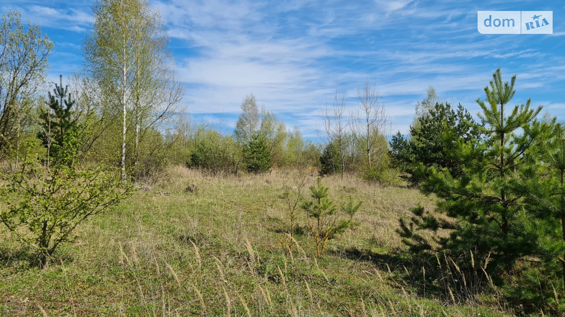 Продается земельный участок 20 соток в Хмельницкой области, цена: 42500 $ - фото 5