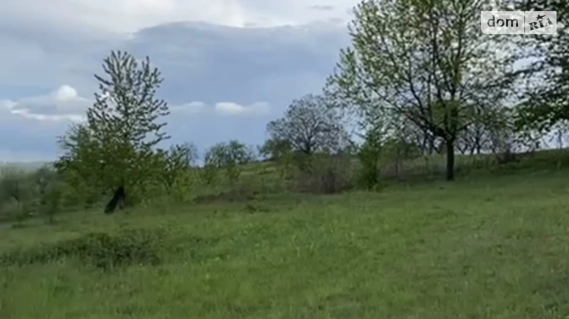 Продается земельный участок 24.47 соток в Закарпатской области, цена: 18000 $ - фото 3