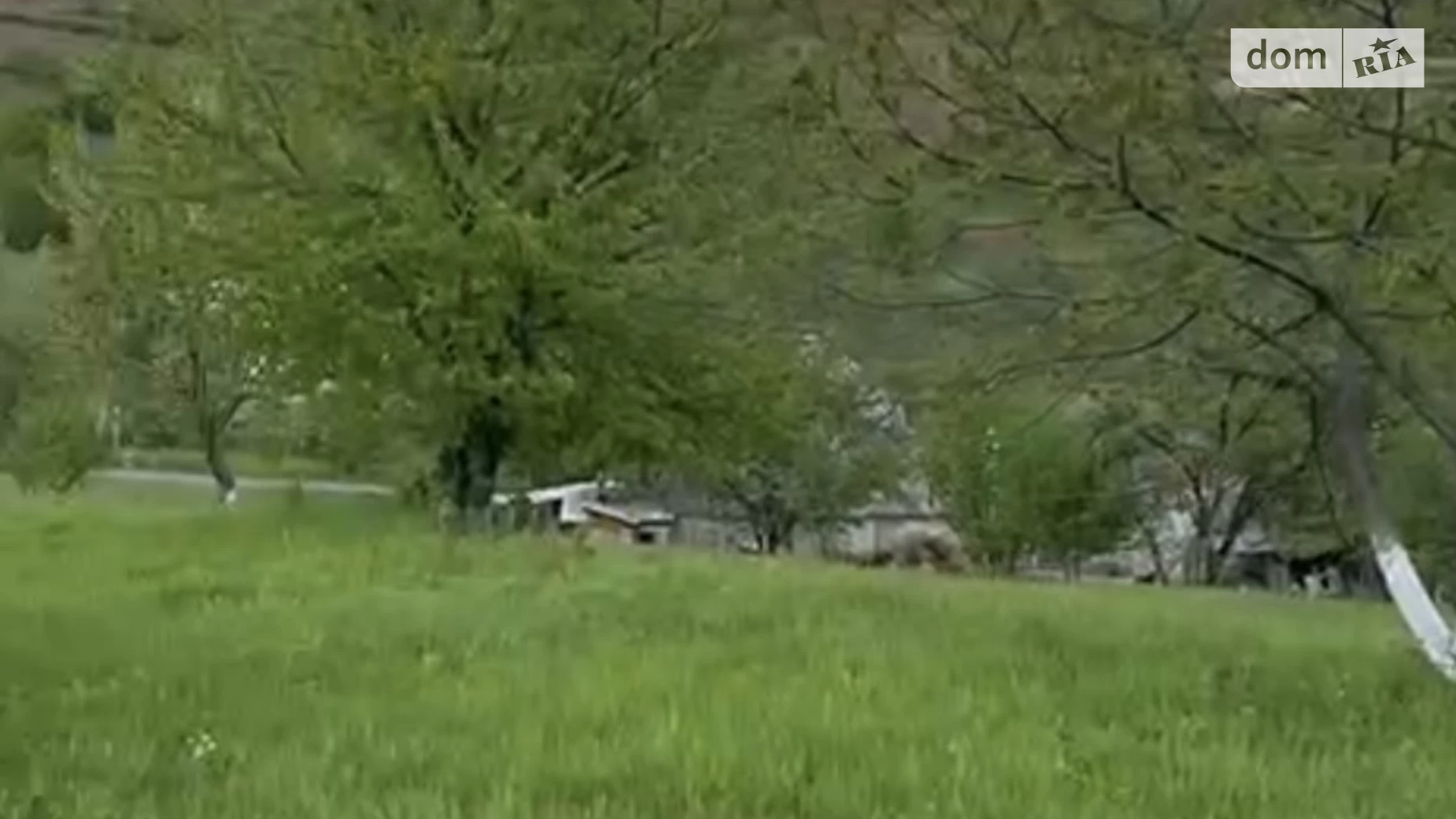 Продается земельный участок 24.47 соток в Закарпатской области, цена: 18000 $ - фото 5