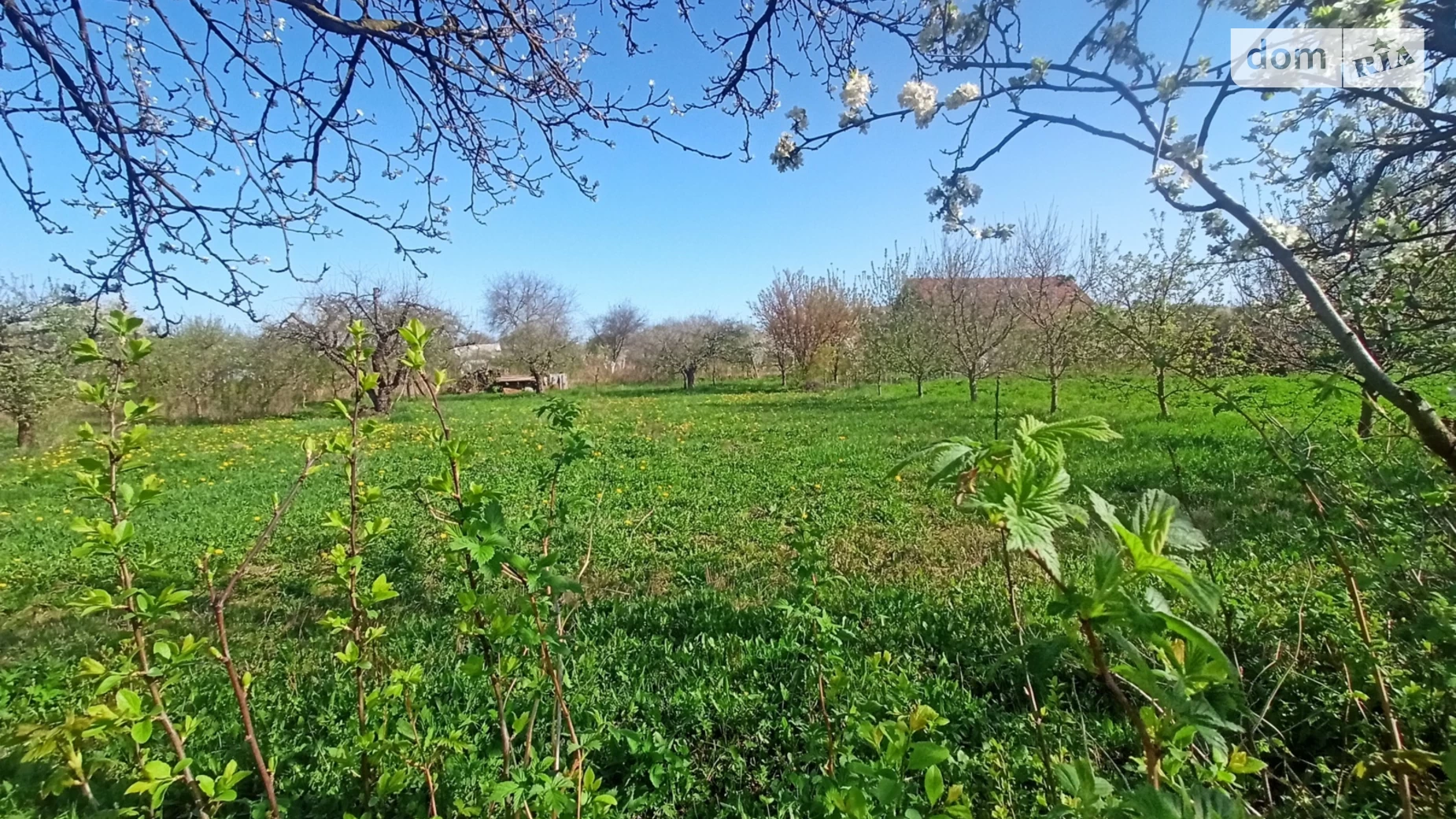 вул. Мирна Зарванці, цена: 60000 $ - фото 4
