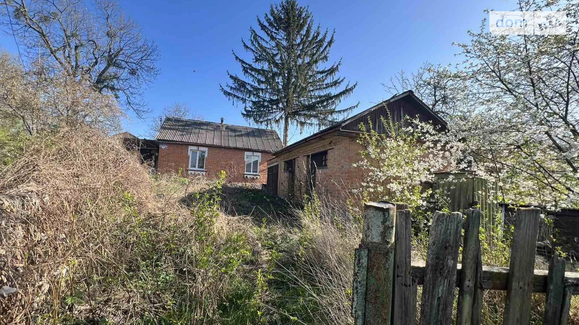 Продается одноэтажный дом 60 кв. м с подвалом, цена: 38000 $ - фото 3