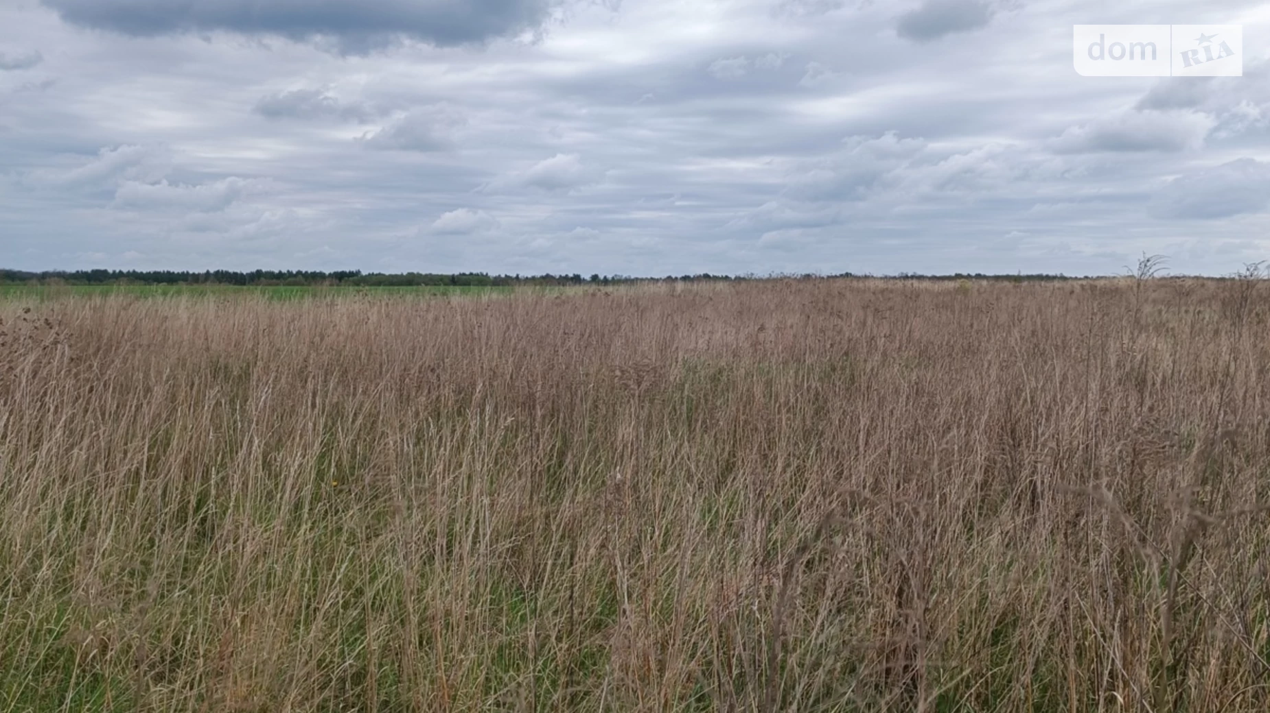 вул. В. Чумака Стрижавка, цена: 5000 $ - фото 2