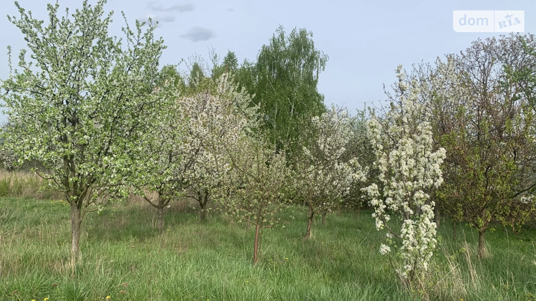 Продається земельна ділянка 11.5 соток у Хмельницькій області, цена: 10000 $ - фото 4