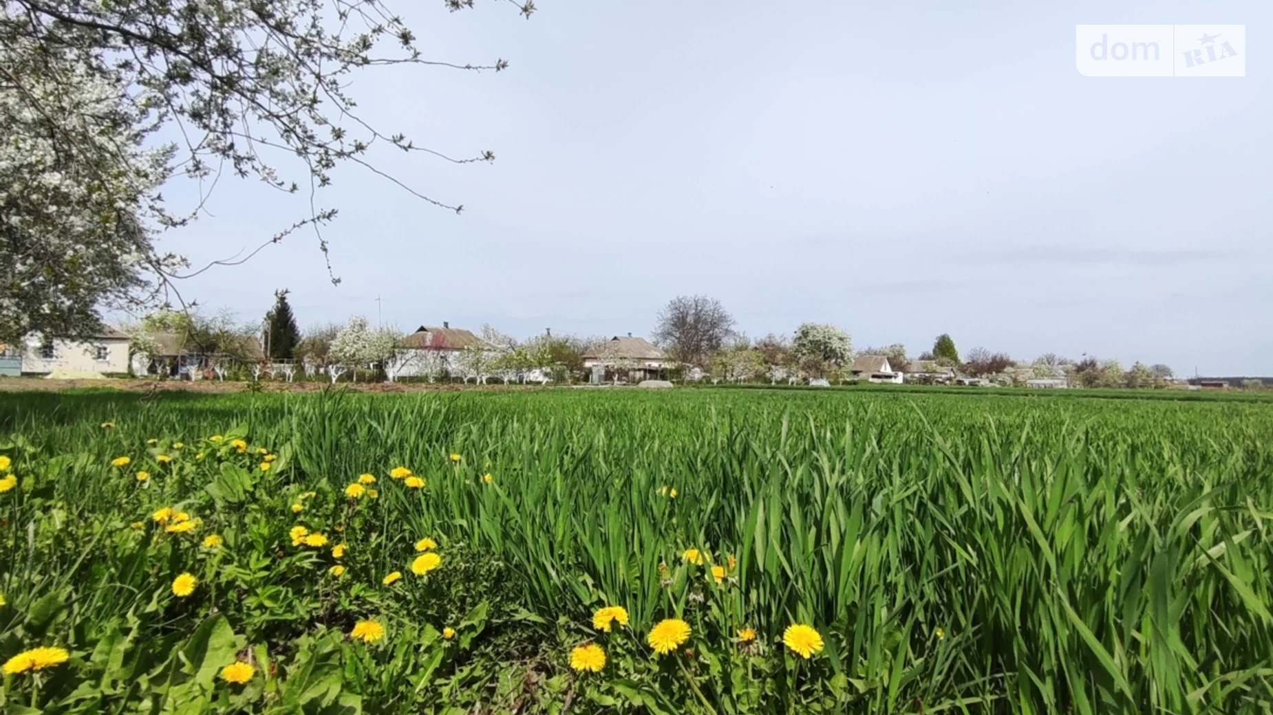 ул. Гарфункина Головуров, цена: 6500 $ - фото 3