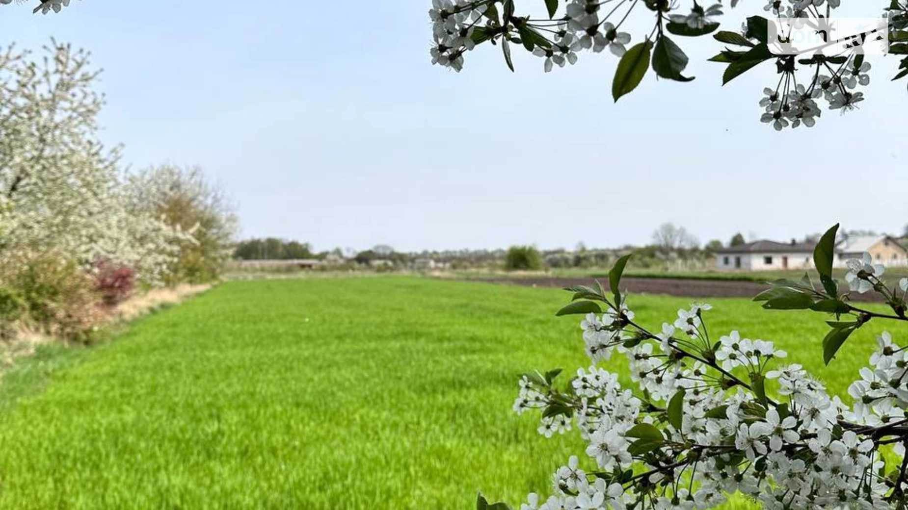 Продается одноэтажный дом 100 кв. м с участком, цена: 25000 $ - фото 2