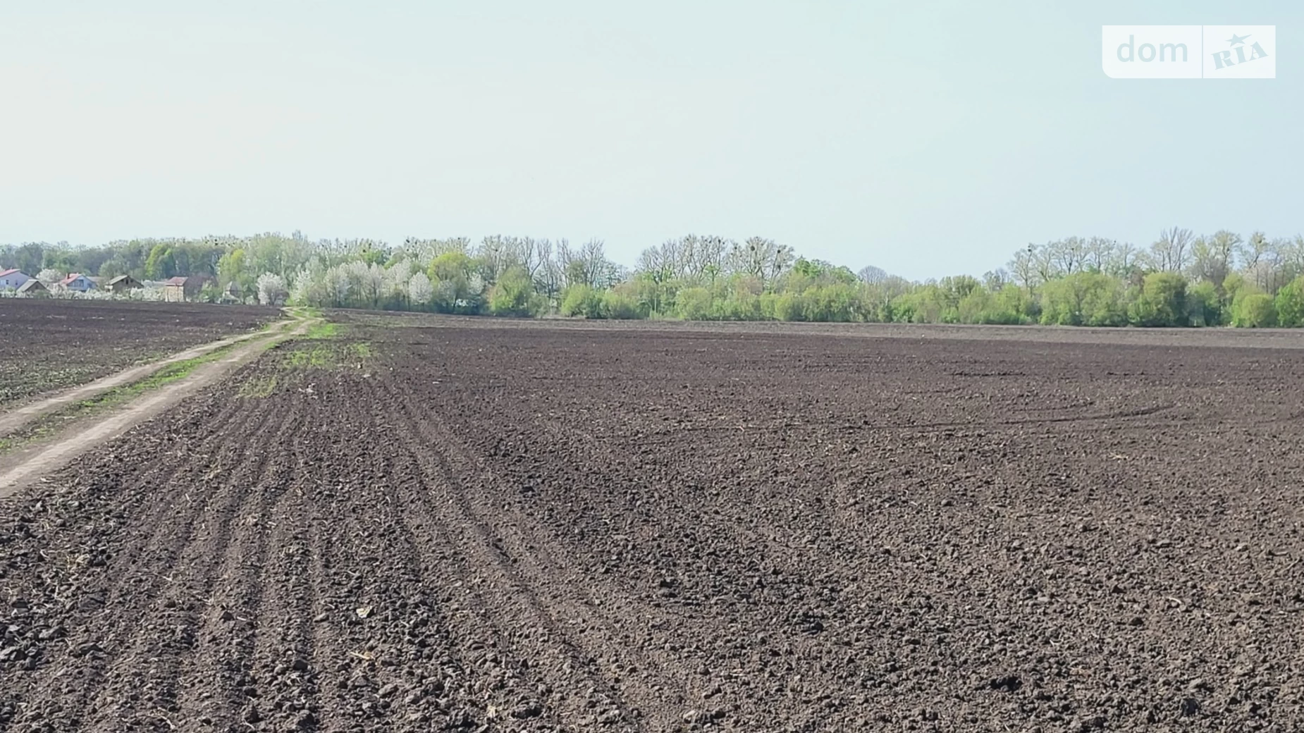 Тяжилів Вінниця, цена: 100000 $ - фото 4