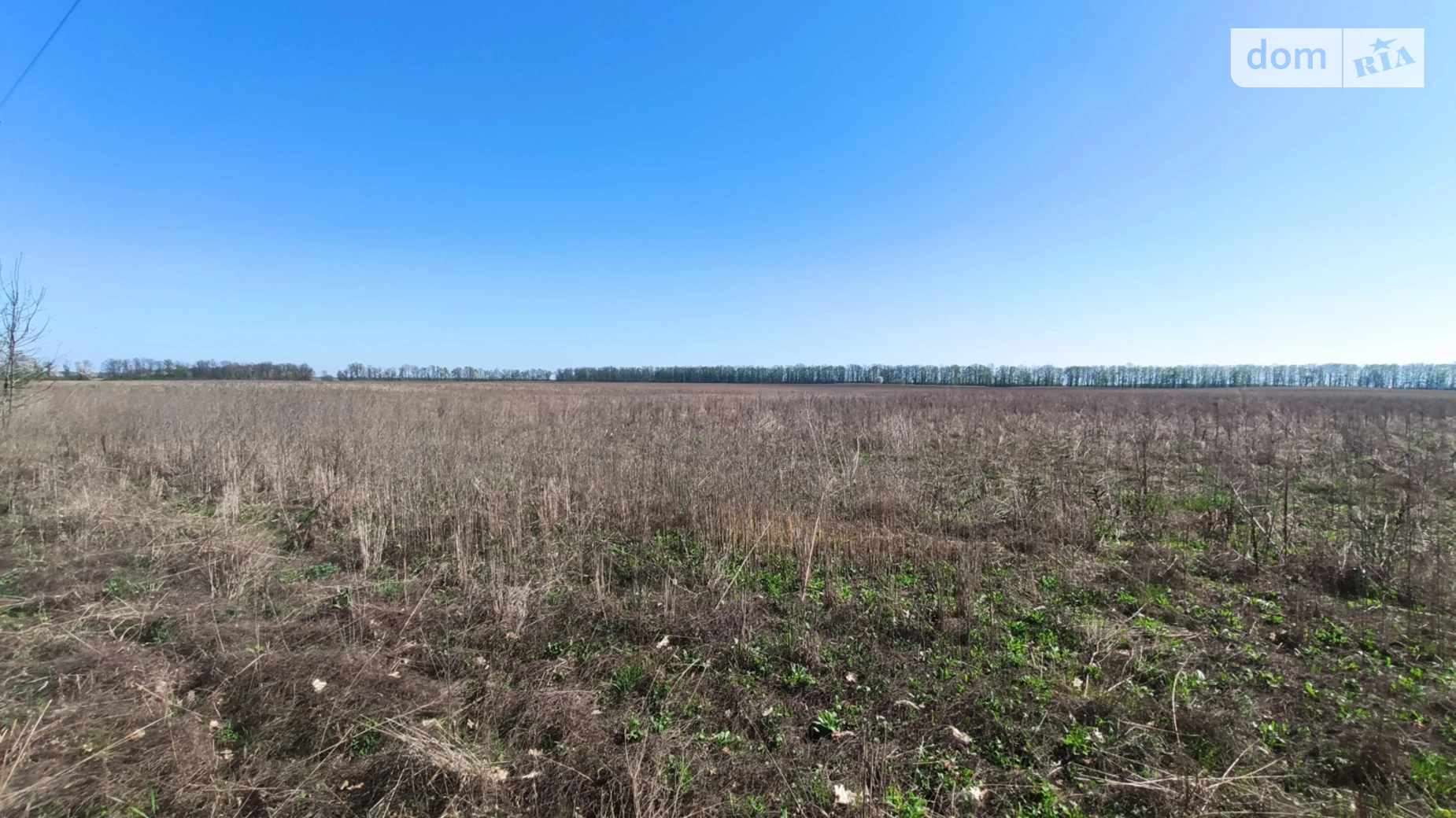 Продается земельный участок 36 соток в Винницкой области, цена: 60000 $ - фото 3