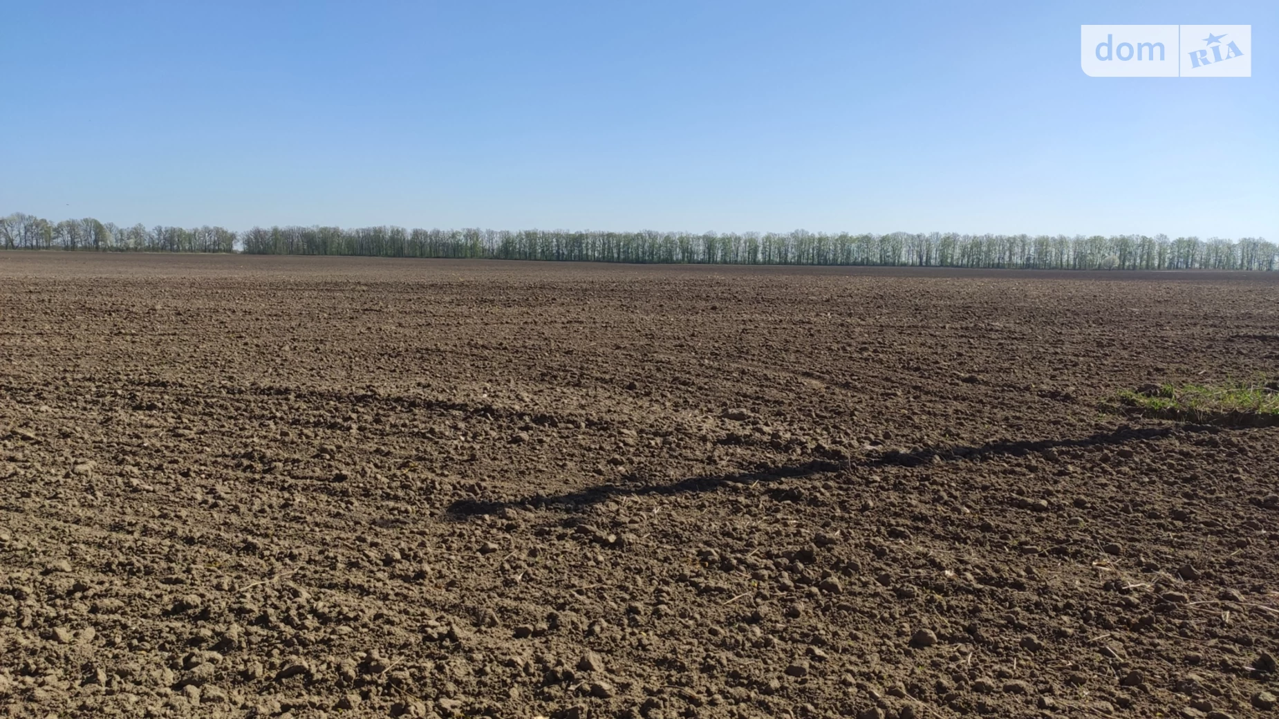 Продается земельный участок 36 соток в Винницкой области, цена: 60000 $ - фото 3