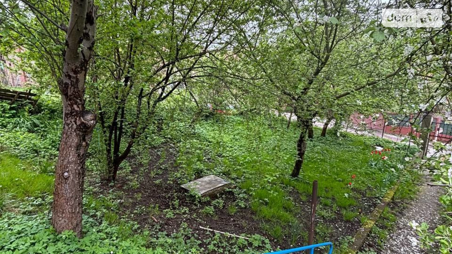 Продается земельный участок 11 соток в Львовской области, цена: 300000 $ - фото 4