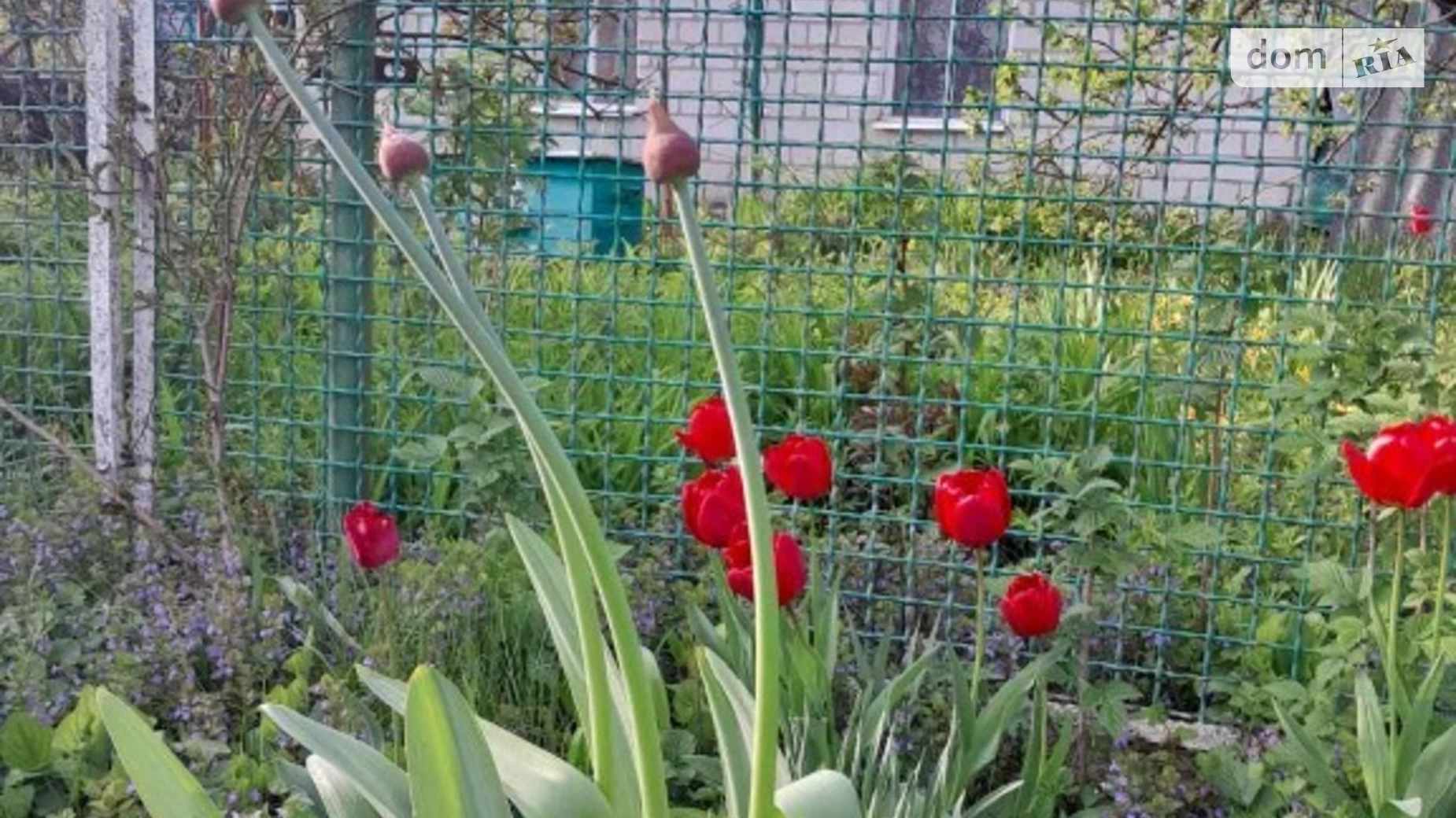 Продается одноэтажный дом 150 кв. м с камином, цена: 15000 $ - фото 2