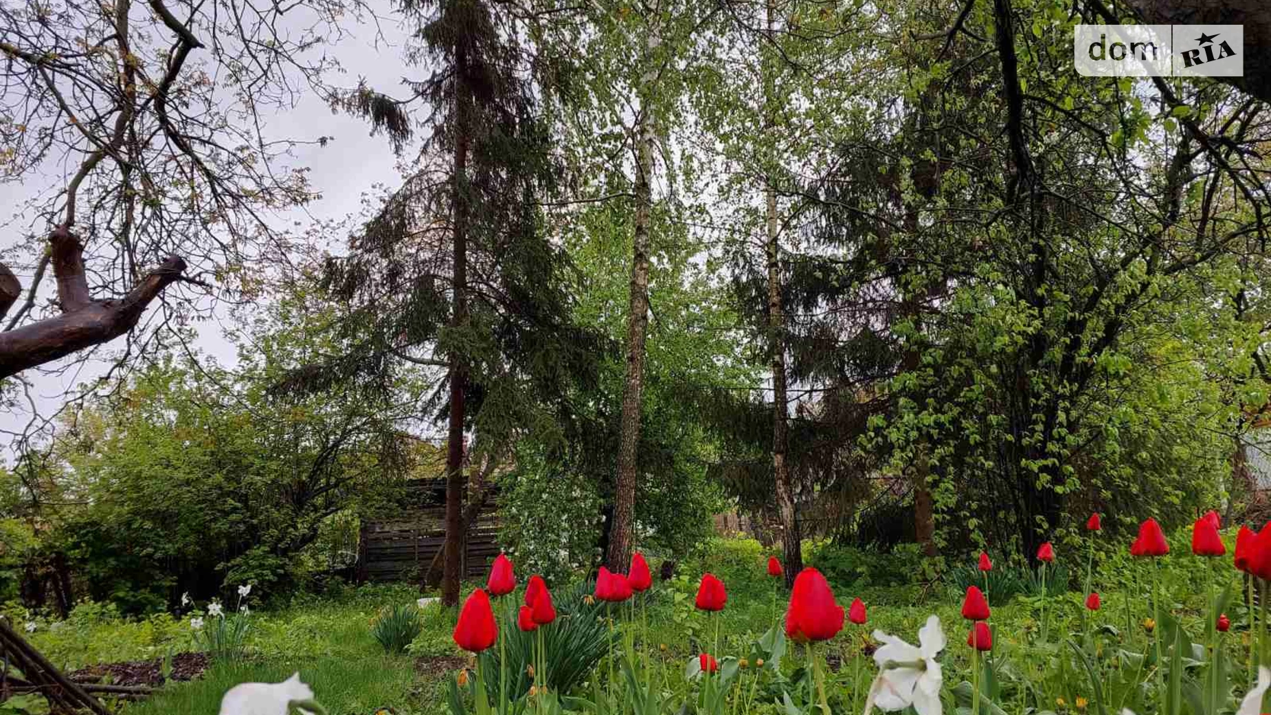 вул. Генерала Арабея Слов'янка Вінниця, цена: 110000 $ - фото 4