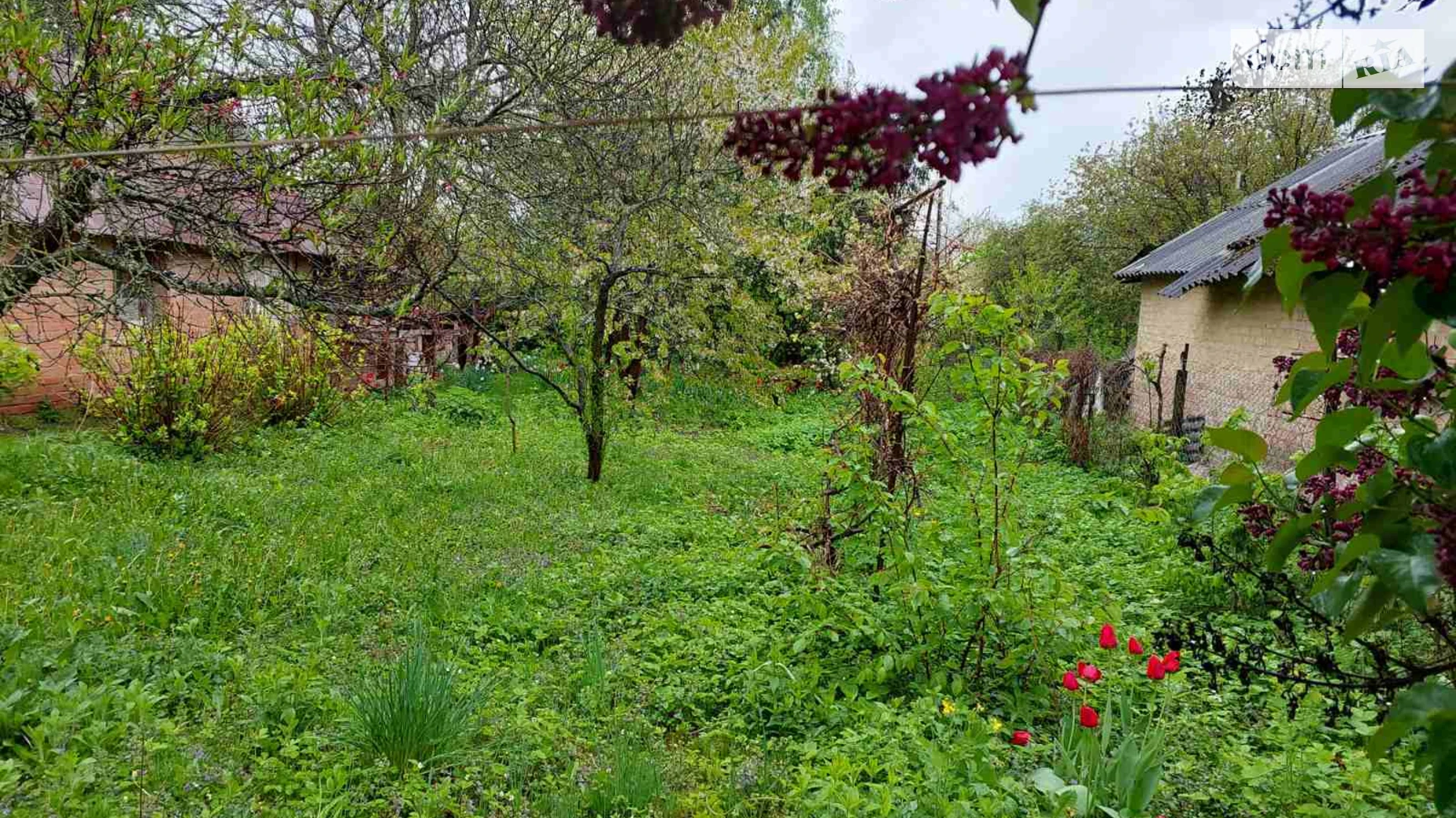 ул. Генерала Арабея Корея Винница, цена: 95000 $ - фото 2