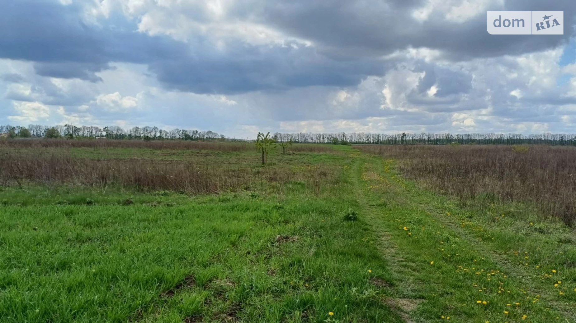 Продається земельна ділянка 6 соток у Вінницькій області, цена: 12000 $ - фото 5