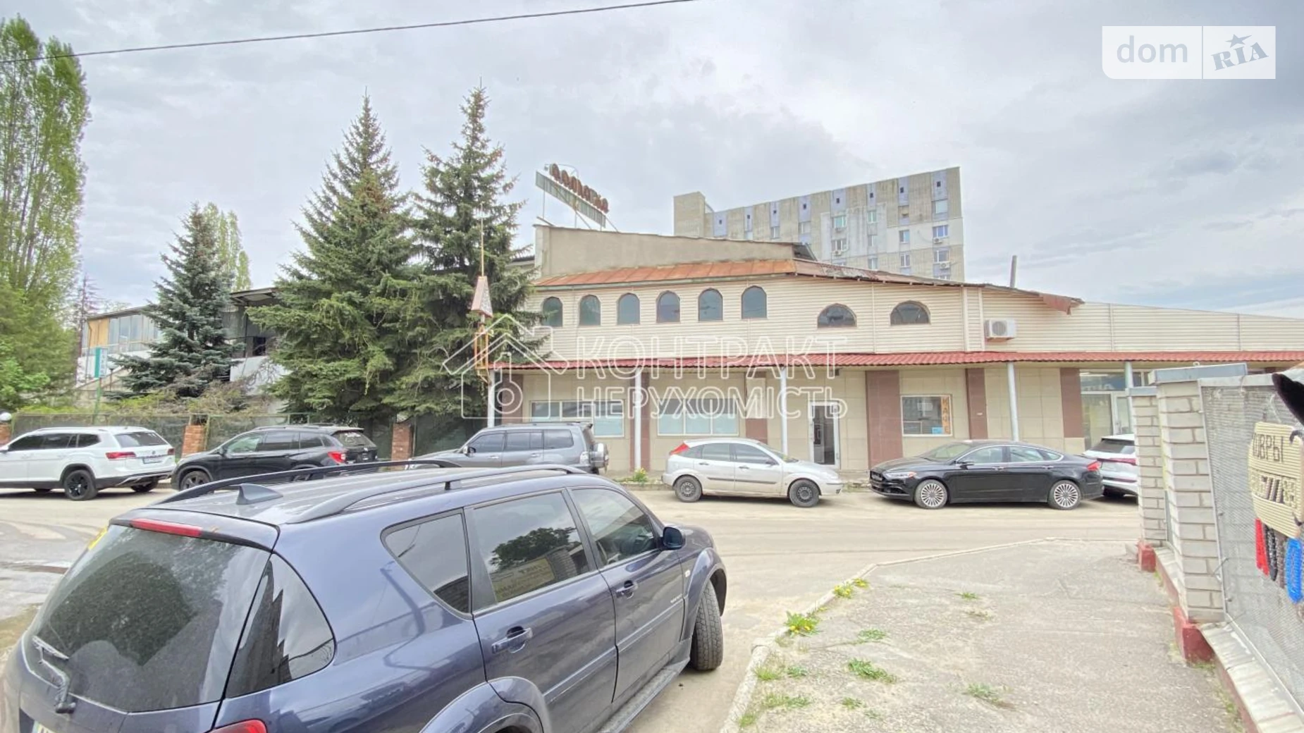 Жалаңаш балапандарды қарап тұрған видео