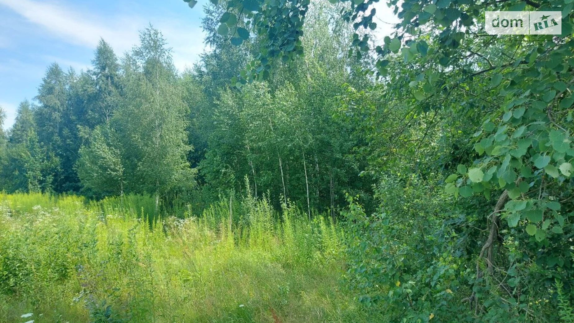 Продається земельна ділянка 10 соток у Житомирській області, цена: 6700 $ - фото 3