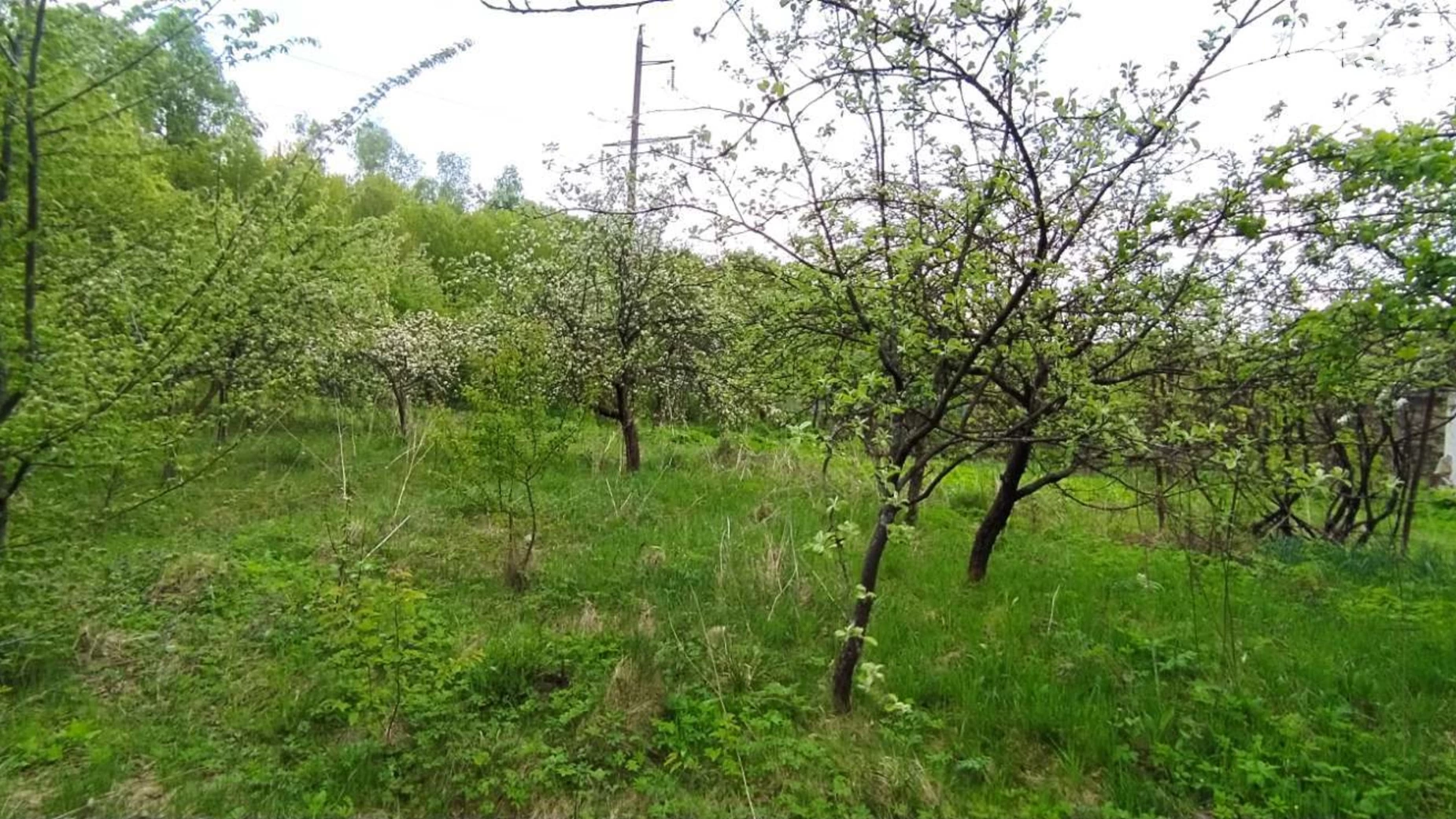 Продається земельна ділянка 6 соток у Івано-Франківській області, цена: 4000 $ - фото 2
