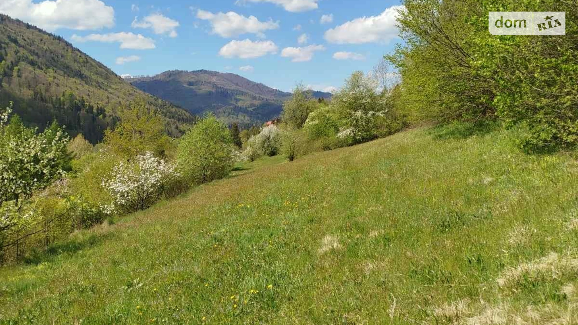 Продается земельный участок 22.21 соток в Львовской области, цена: 32000 $ - фото 3