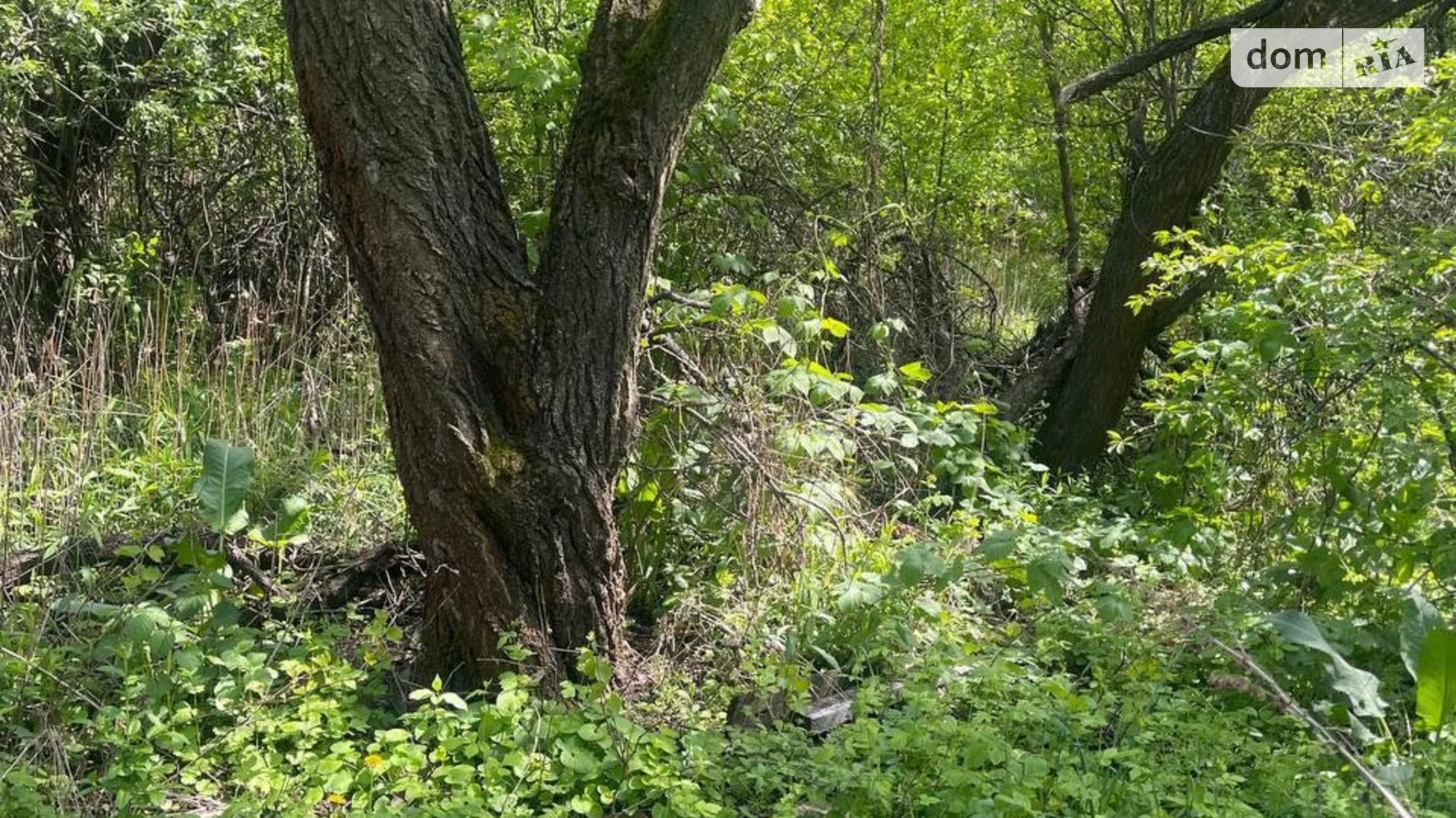 Продається земельна ділянка 4.7 соток у Дніпропетровській області, цена: 4230 $ - фото 4