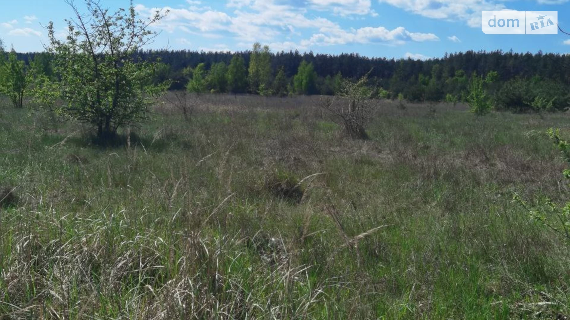 вулиця Космічна Блиставица, цена: 21000 $ - фото 3
