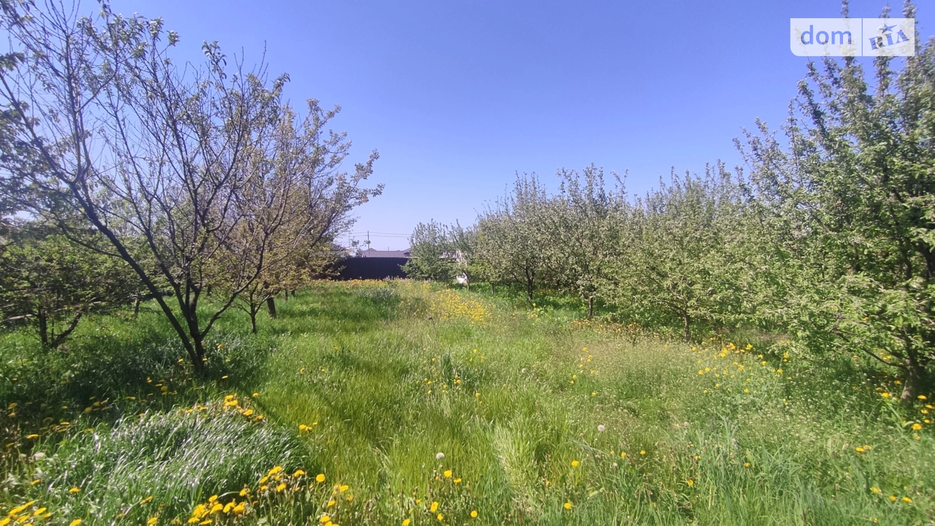Продается дом на 2 этажа 250 кв. м с бассейном, цена: 98000 $ - фото 3