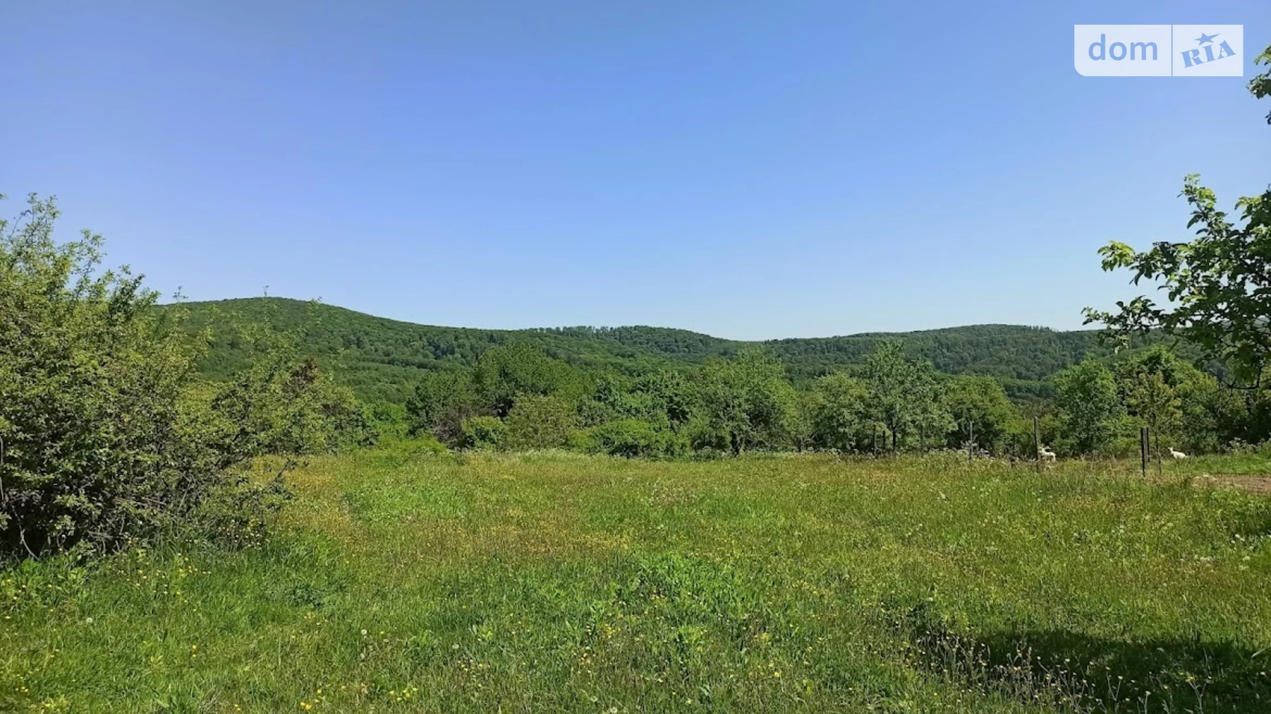 вул. Мирна Гута, цена: 14000 $ - фото 3