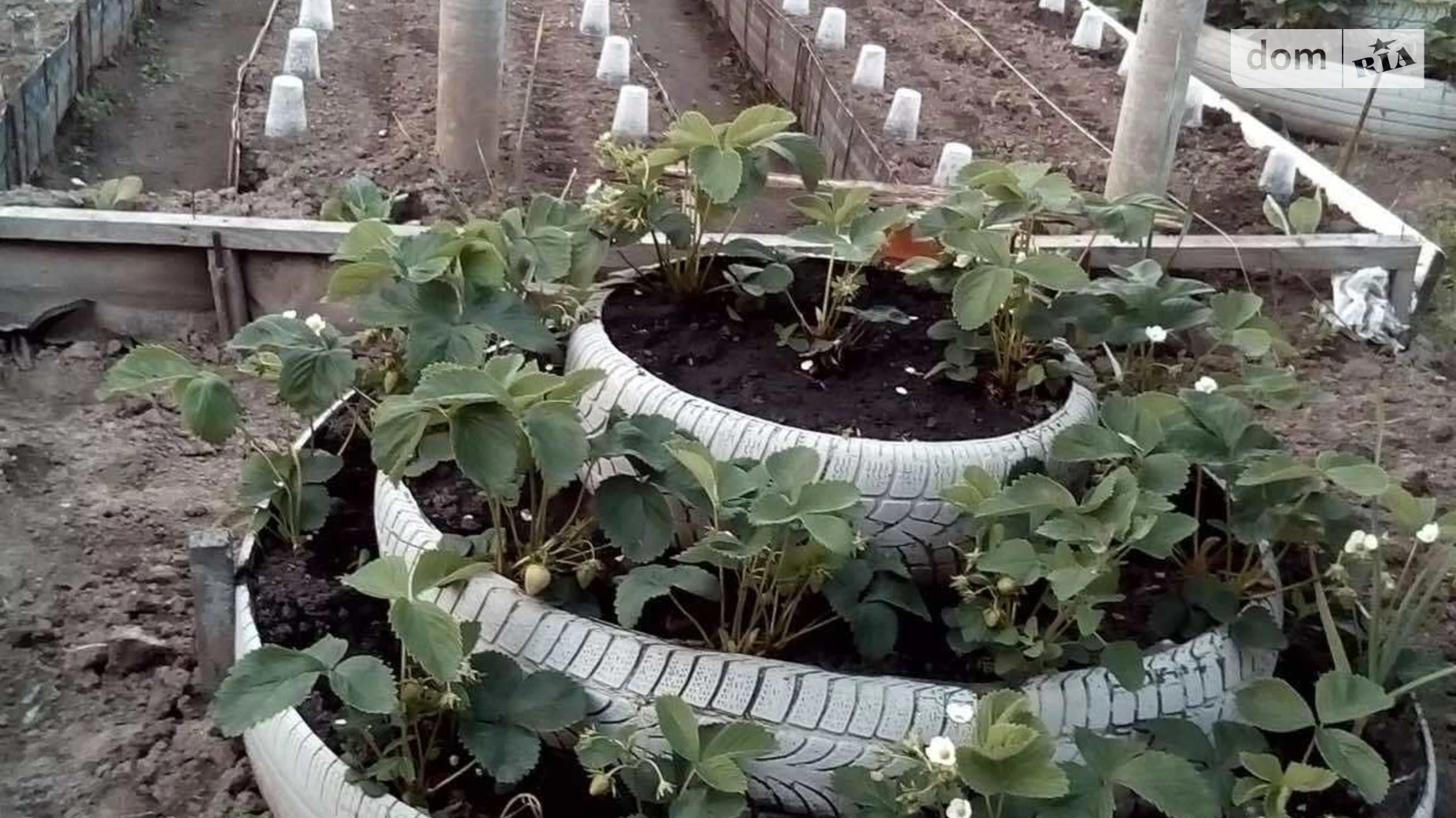 Продається одноповерховий будинок 53 кв. м з балконом, цена: 28000 $ - фото 4